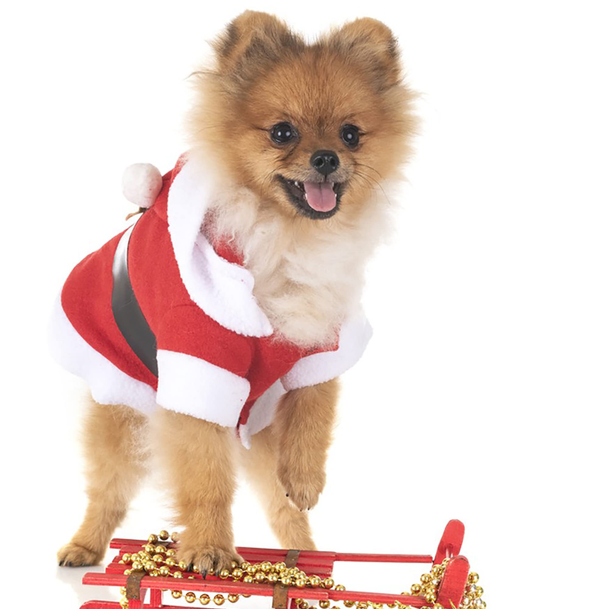 Dog Dresses For Small Medium Dogs Girl Pet Christmas Costumes Santa Dog Clothes Doggie Outfits Fall Winter Coats Puppy Kitty Hoodies