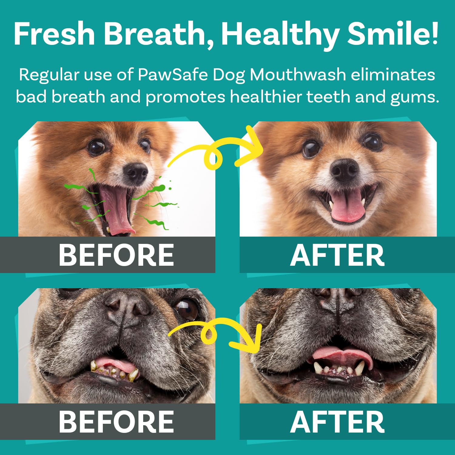 Dog Mouthwash, Dental Water Additive for Fresh Breath, Plaque & Tartar Control, Best Natural Cleaning Freshener Formula for Heal