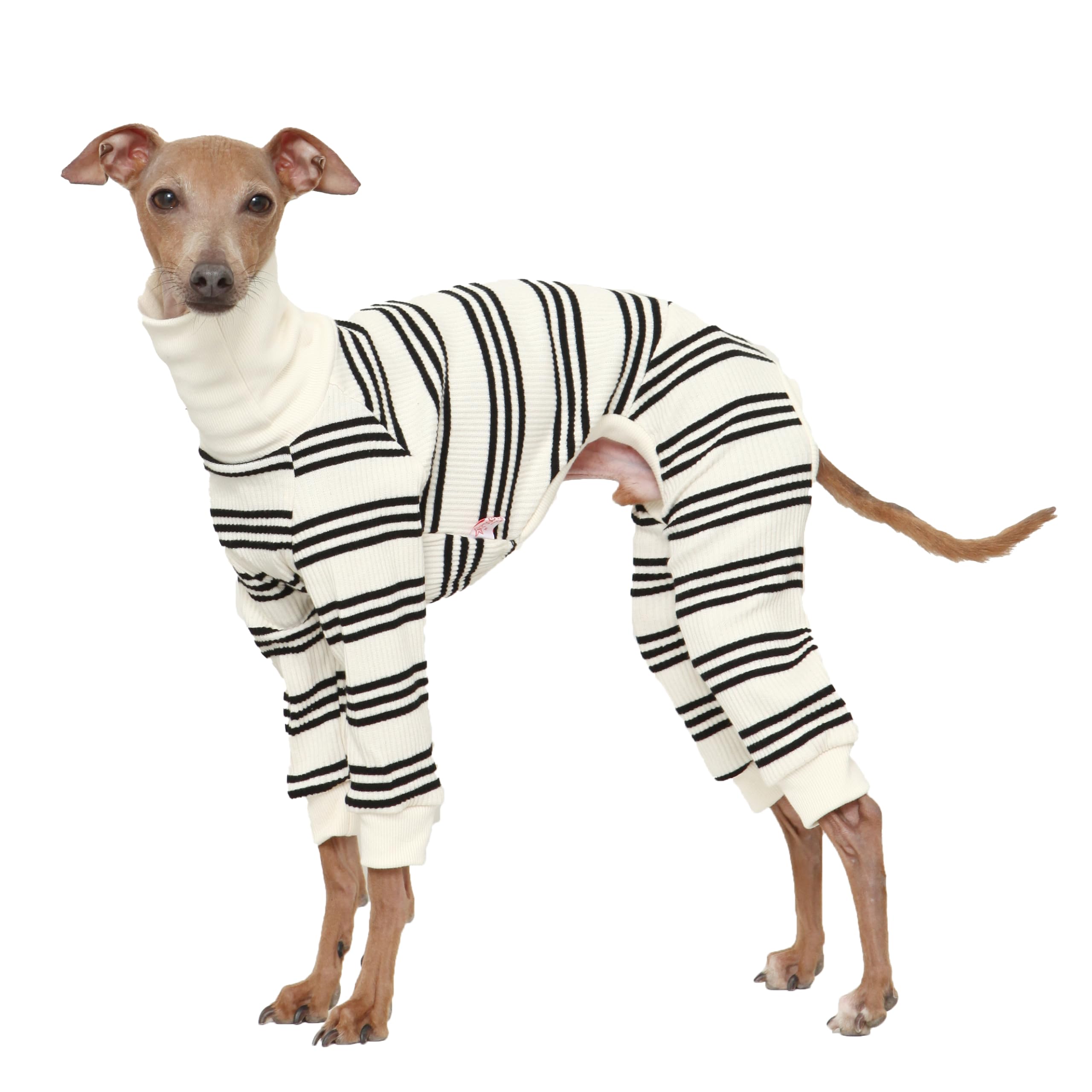 D Doggy Star Italian Greyhound Clothes Soft Stretchy Onesie Refined Stripe Outfit Whippet For Dog Coat (M,Onsi Black Str)