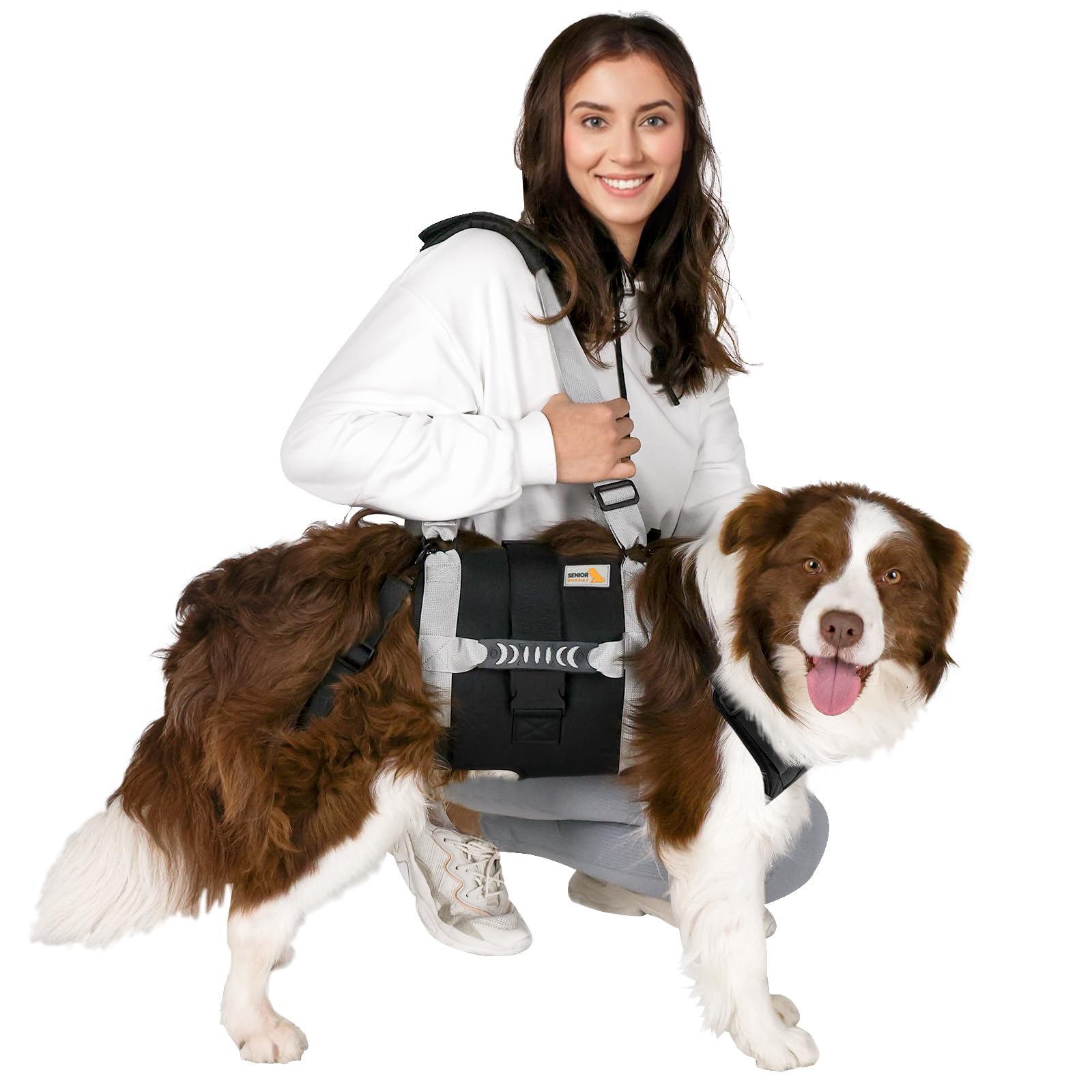 Dog Lift Harness for Large Dogs,Full Body Dog Sling Carrier with Handle,for Up Stairs/Back Legs Support/Dogs Joint Injuries/Arth