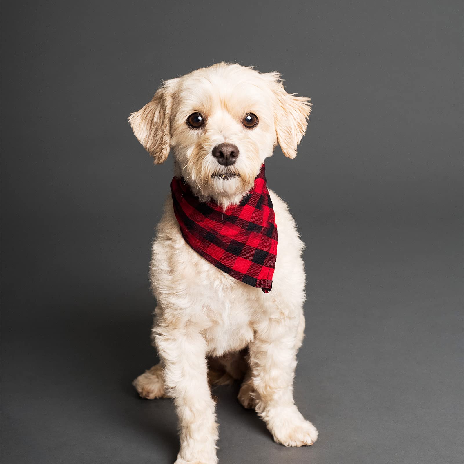 Segarty 15 Pack Triangle Plaid Bibs, 22.8''X15.7'' Pet Scarf Washable Dog Bandanas Accessories Bulk For Small Medium Dogs Cats L
