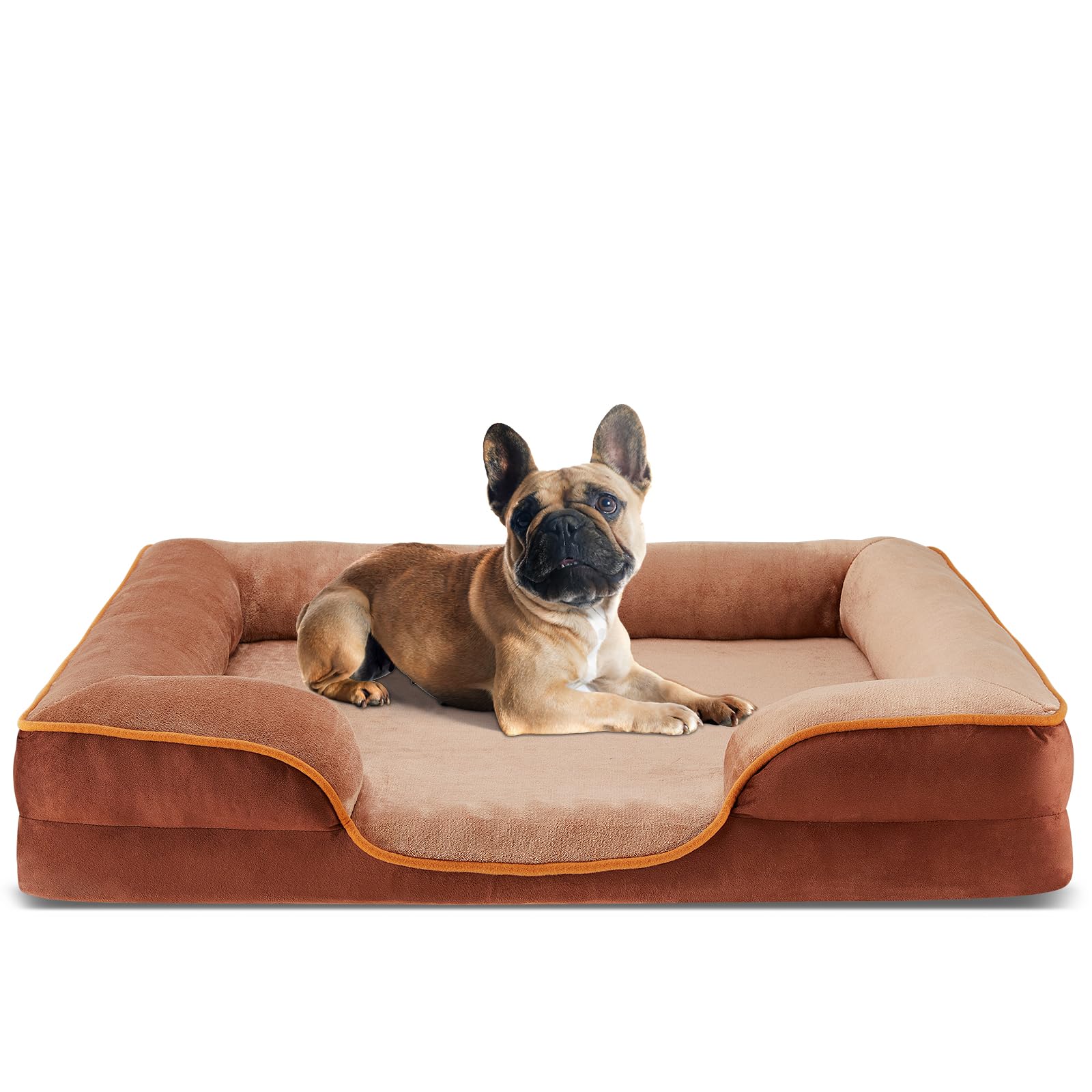 DUMOS 35x25 Inch Orthopedic Dog Beds for Large Sized Dogs, Machine Washable Cover Pet Bed, Anti-Slip Waterproof Memory Foam Couc