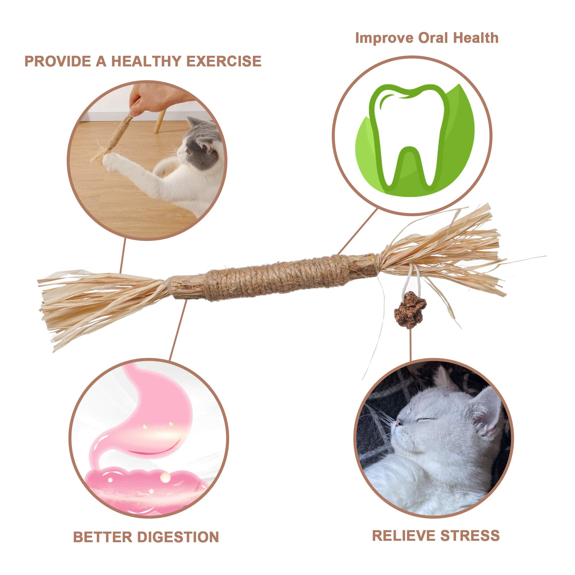 PAZS GIFT Catnip Toy Cat Toys Catnip Toy cat chew Toy cat Kicking silvervine Stick Teeth Cleaning Cute Kitten Teething Indoor I
