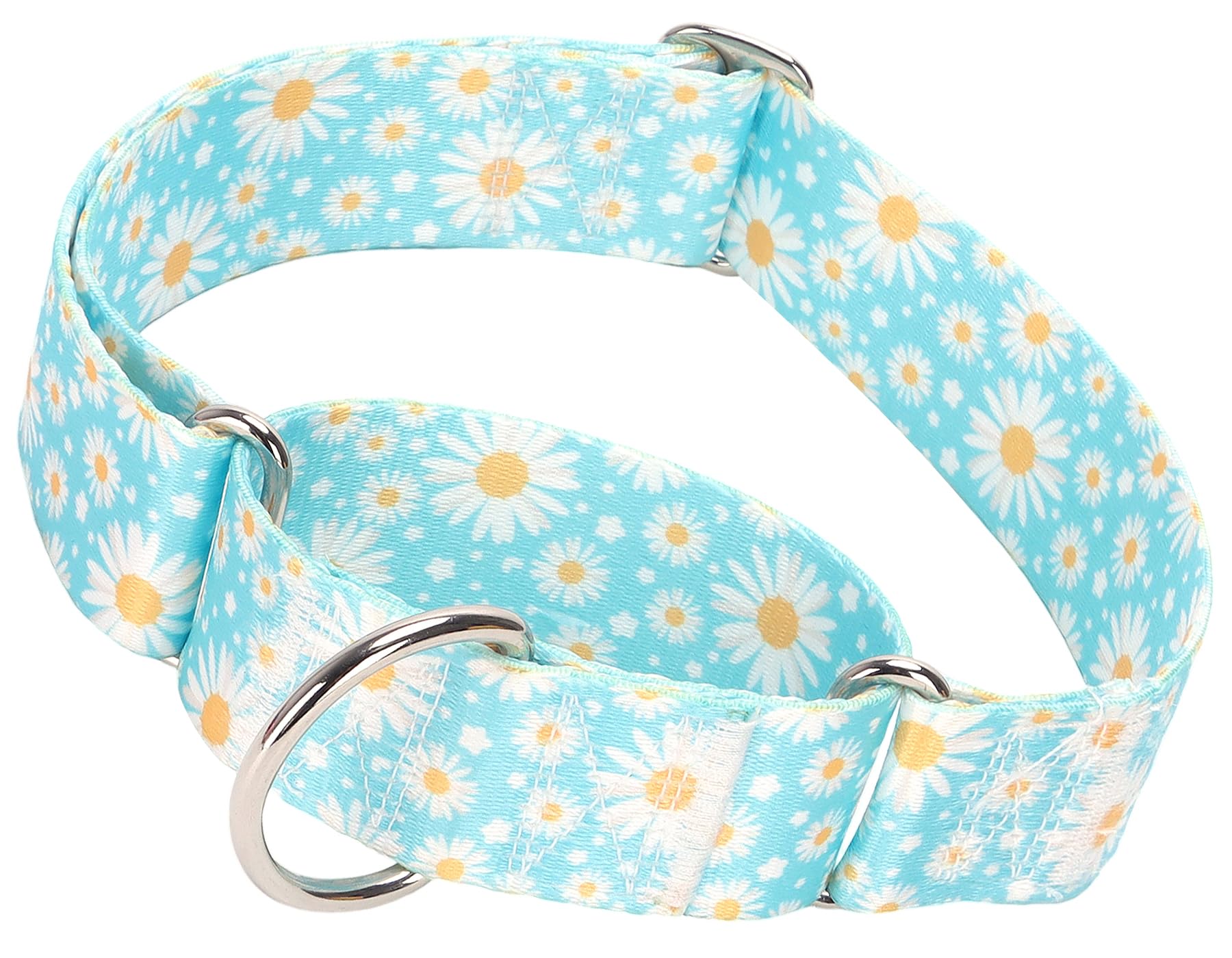 1.5 Inches Wide Martingale Dog Collar, Heavy Duty Adjustable Collar With Rwith Blue Daisy Floral Design, Military Grade Strong D