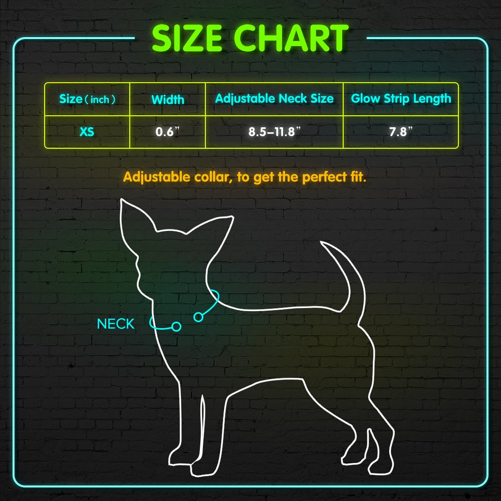 Bseen Light Up Dog Collars For Small Dogs - Rechargeable Led Puppy Collar - Glowing Cat Collars - Dog Camping Gear Dog Lights For Night Walking(Orange, Xs)