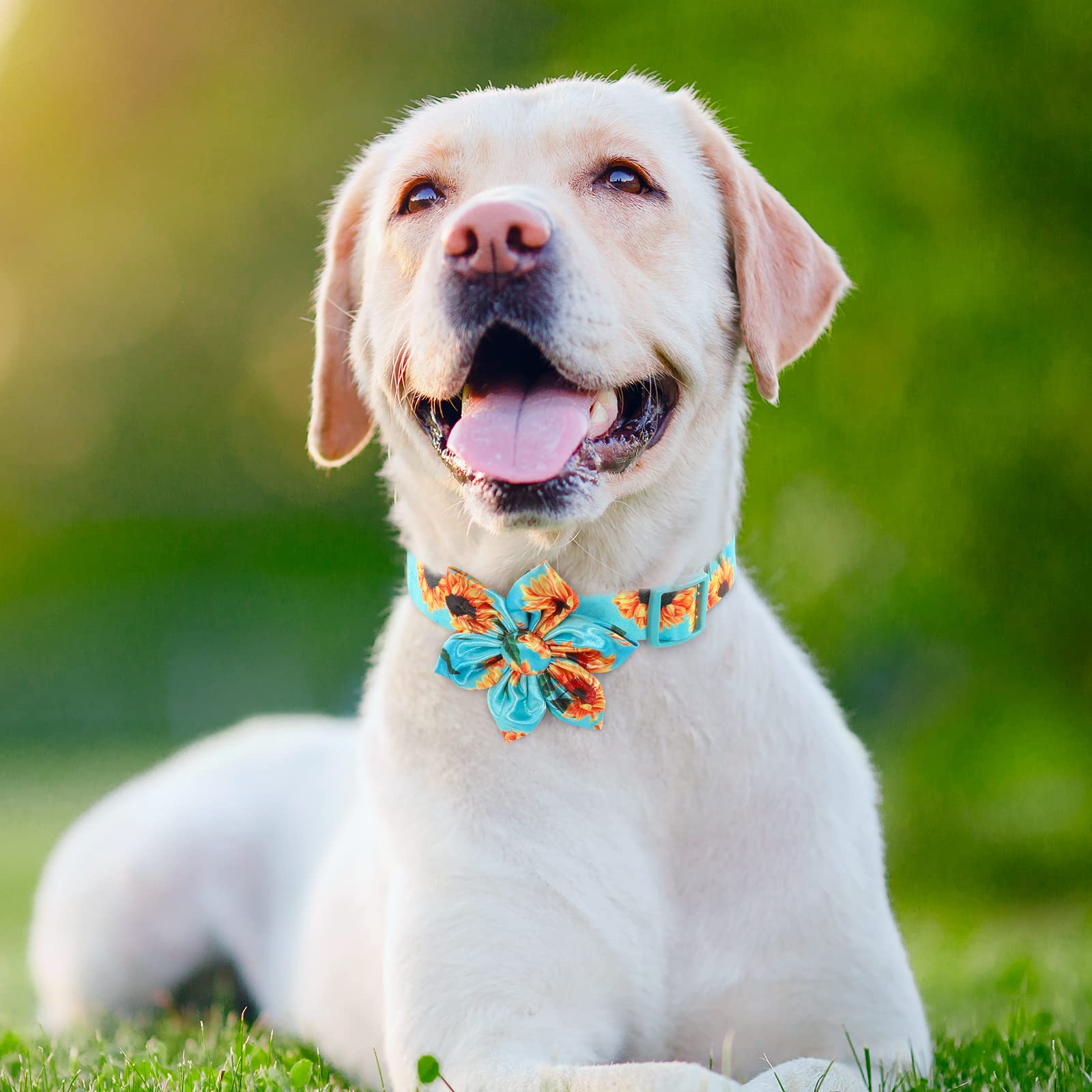 Cute Dog Collar Fancy Floral Boy Dog Collar With Sunflower Bowtie Dog Collar For Cute Boy Male Cats Dogs Spring Summer Dog Colla