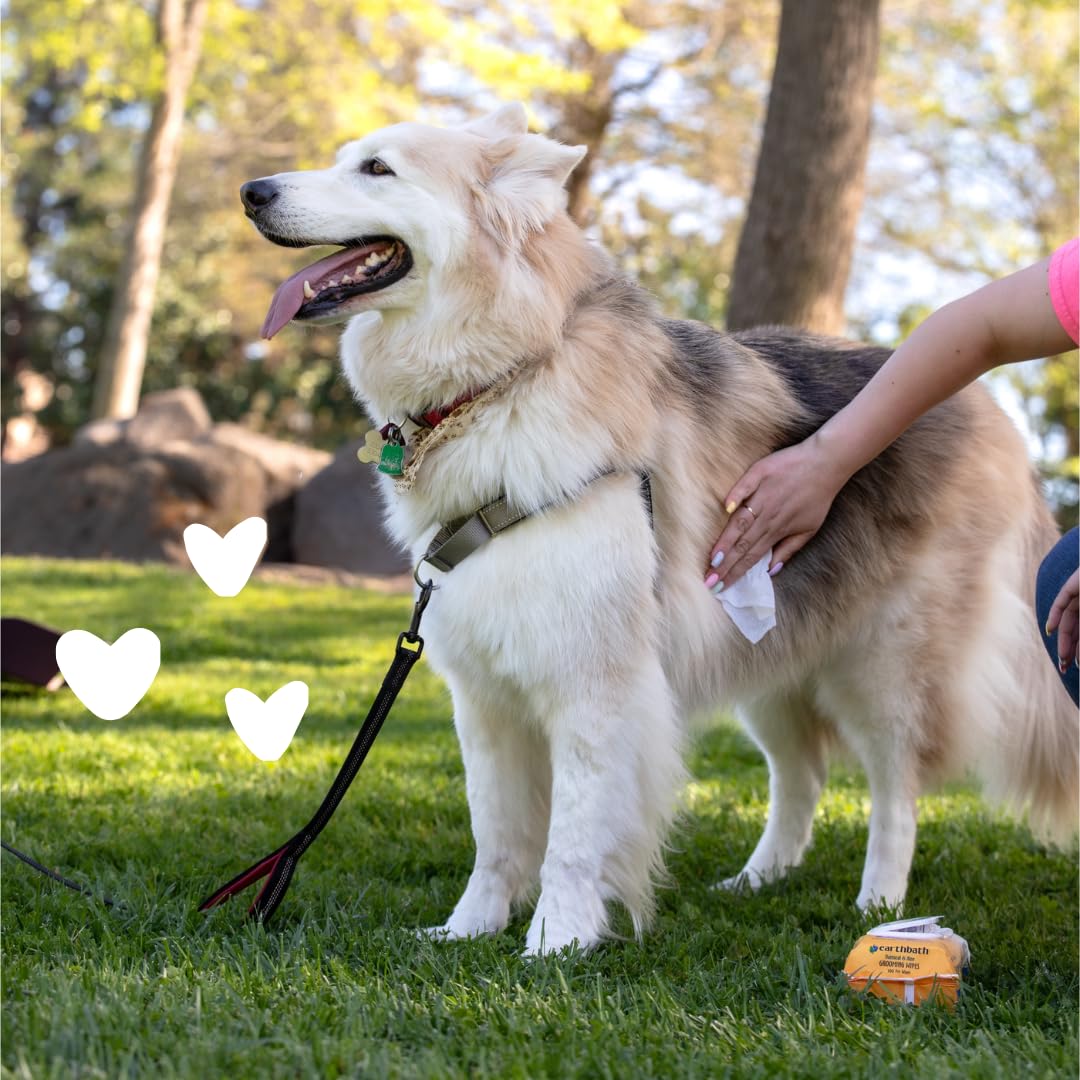 Earthbath, Oatmeal & Aloe Grooming Wipes - Dog Wipes For Paws And Butt, Best Pet Wipes For Dogs & Cats, Helps Relieve Itchy & Dry Skin, Made In Usa, Cruelty-Free - Vanilla & Almond 30 Count (1 Pack)