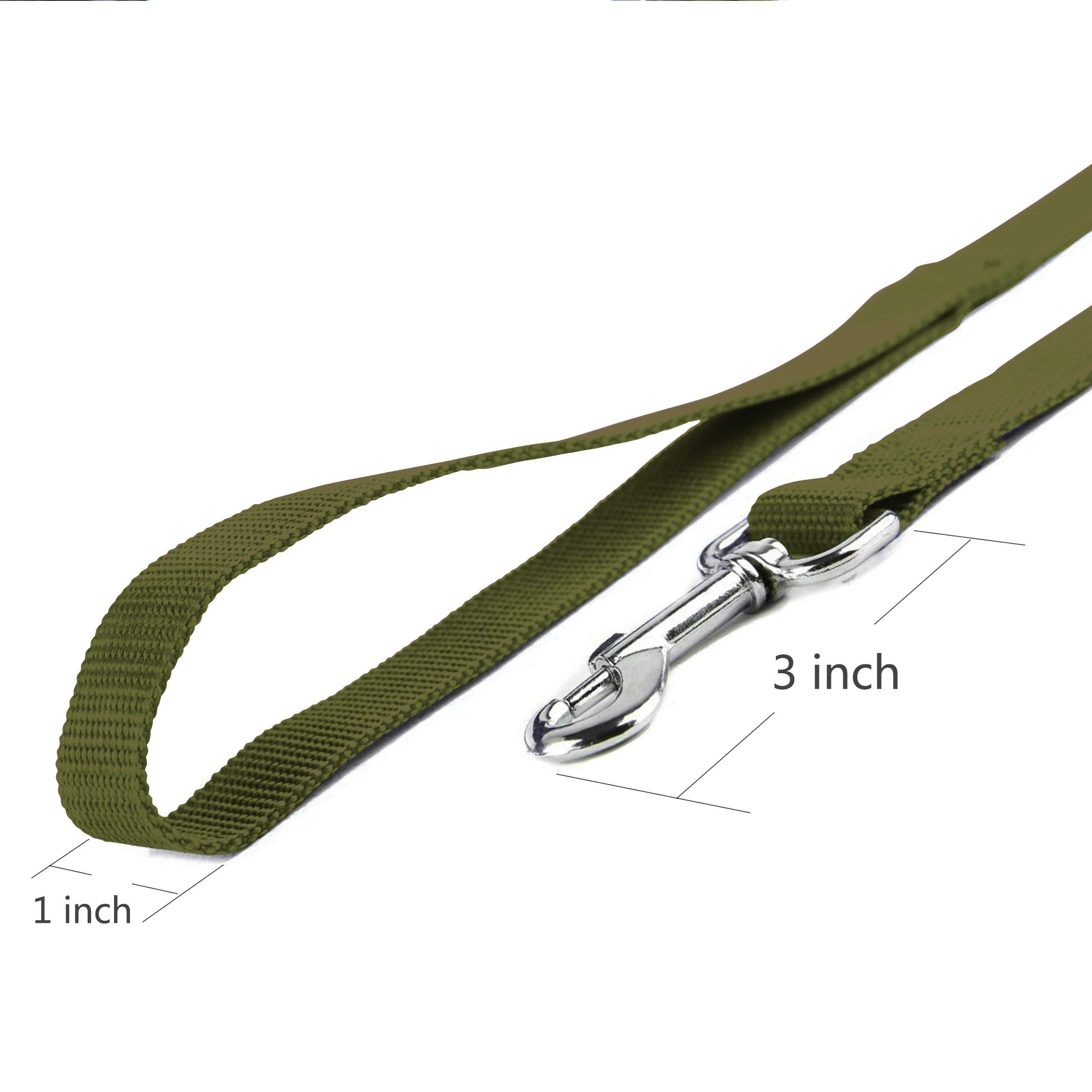 Jeckpat 10Ft Dark Green Dog Leashes - Obedience Recall Training Agility - Traditional Style Extra Long Leads For Large, Medium &