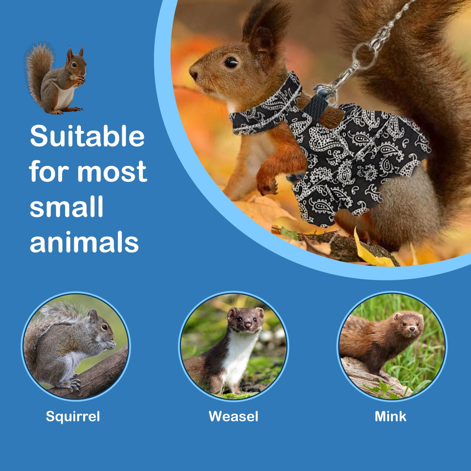 Guinea Pig Harness Skirt Clothes And Leash, Adjustable Hamster Ferret Harness And Leash Set, No Pull Walking Vest For Ferrets, C