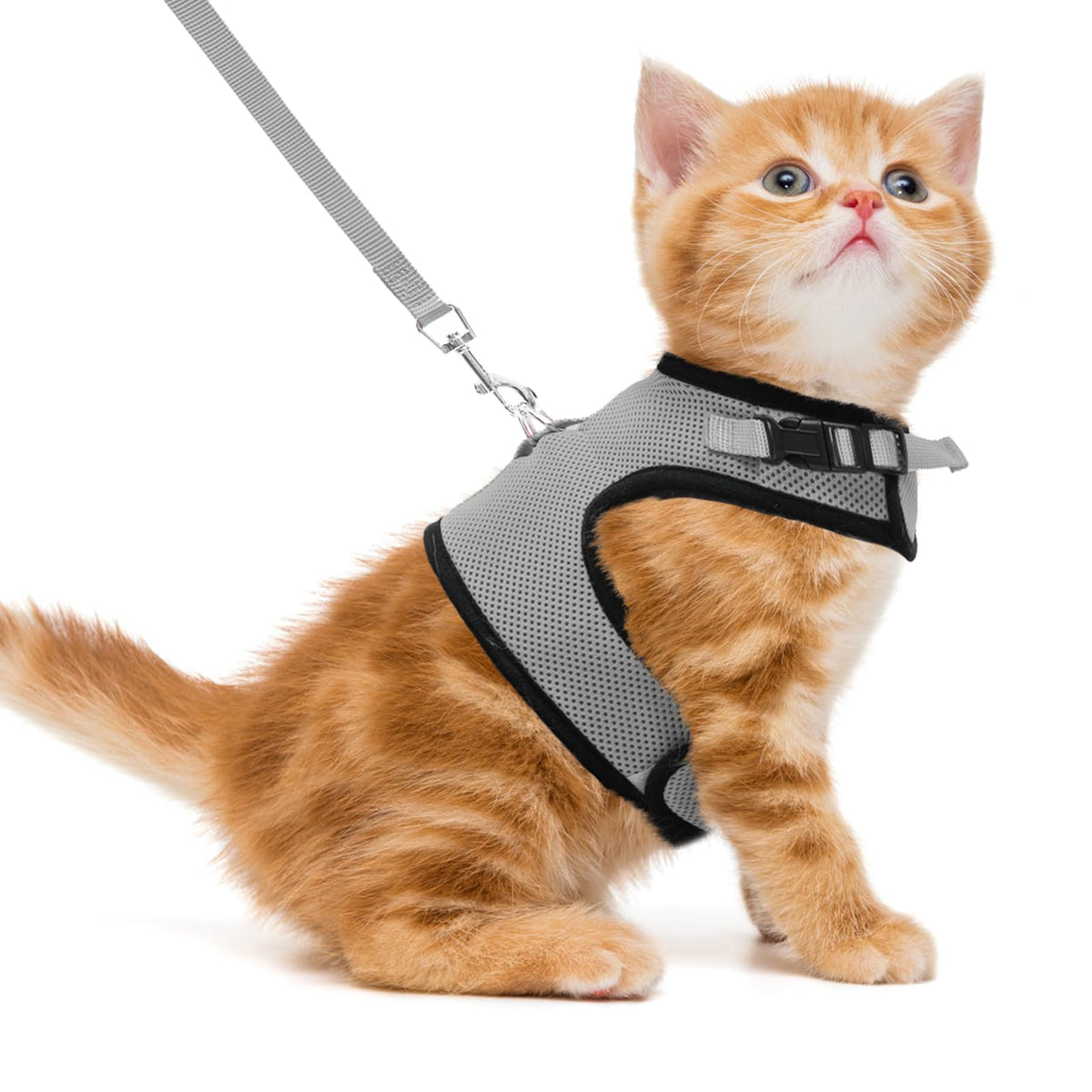 Pupteck Soft Mesh Cat Vest Harness And Leash Set Puppy Padded Pet Harnesses Escape Proof For Cats Small Dogs Rabbits Bunny, Grey