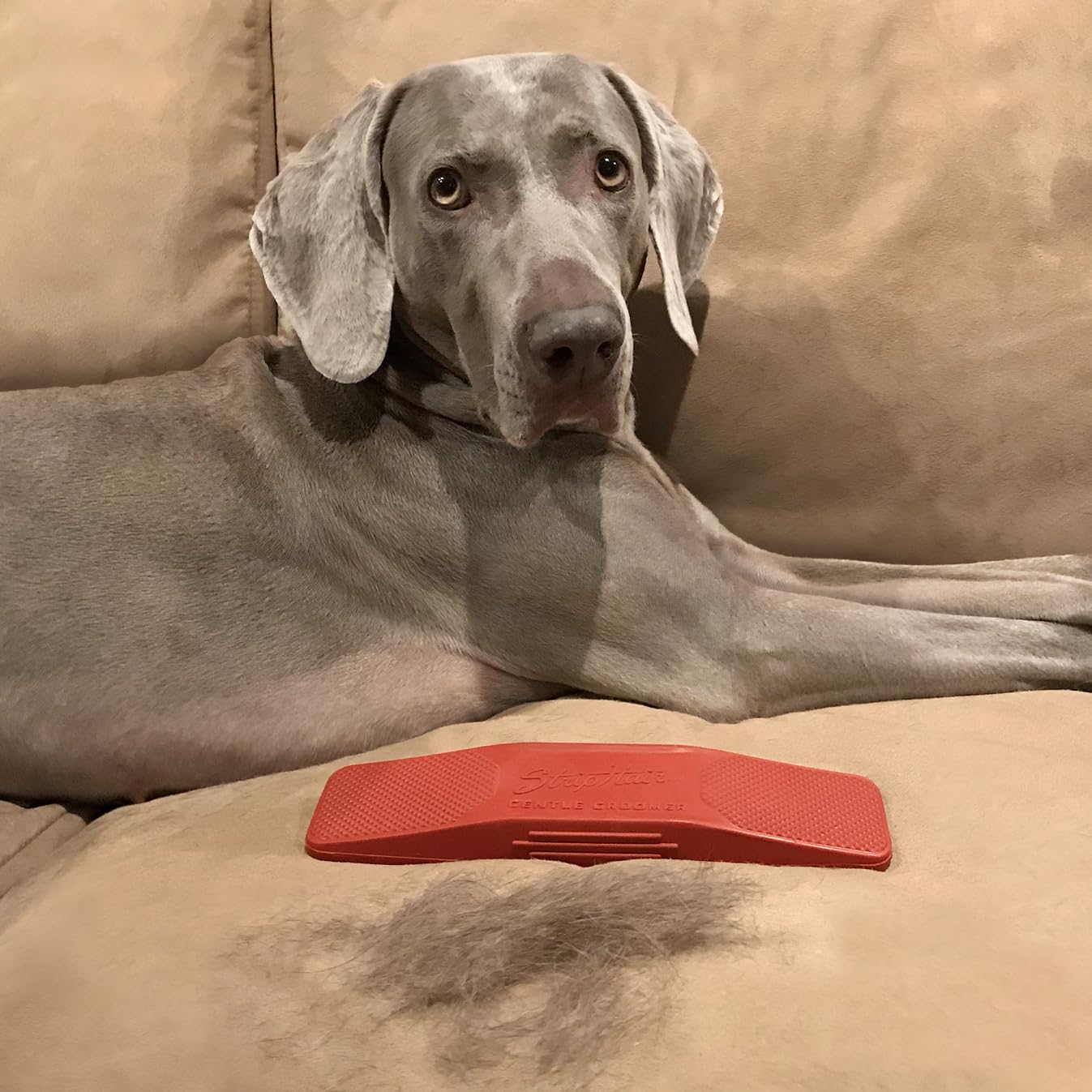 Striphair Gentle Groomer - Original For Horses Dogs 6-In-1 Shedding Grooming Massage (Soft Red)