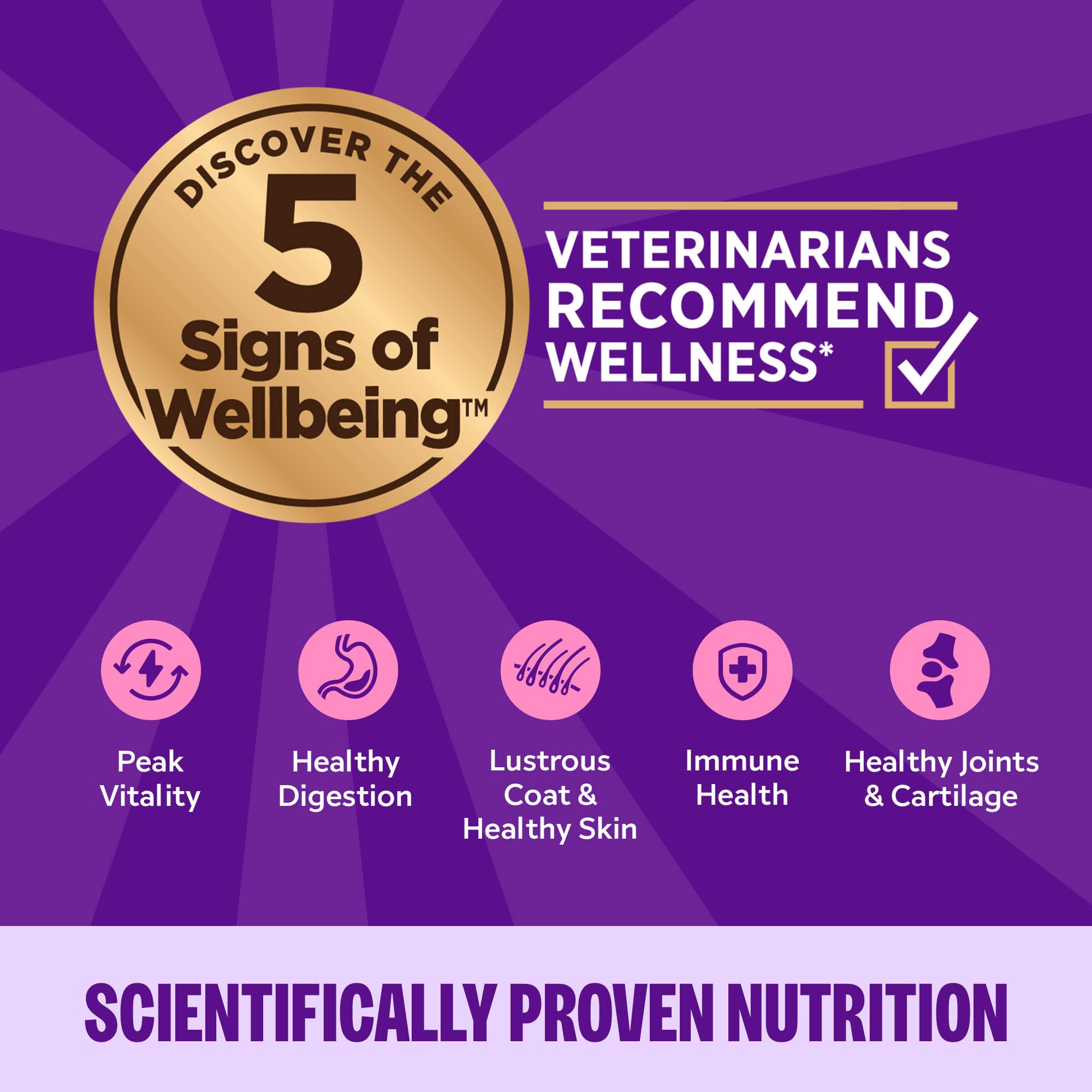 Wellness Complete Health Grain-Free Wet Canned Cat Food, Natural Ingredients, Made with Real Meat, All Breeds, Smooth Pate (Turk