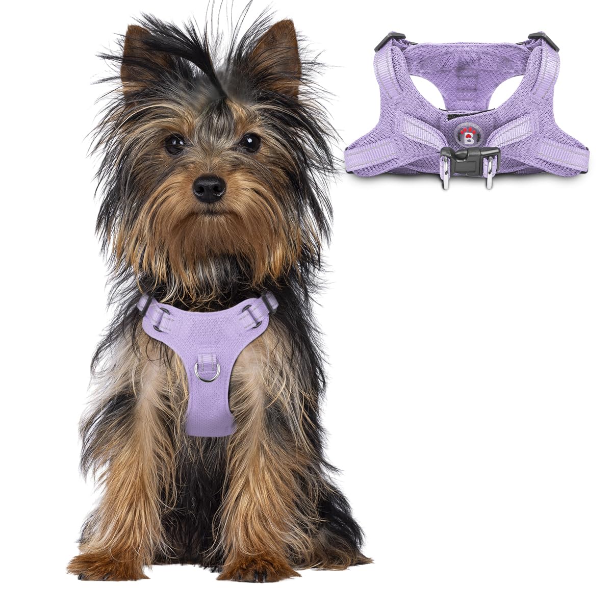 Barkbay Dog Harness, Reflective Adjustable Puppy No Pull Harness, Breathable Soft For Small And Medium Dogs, Violet Purple, Xxs