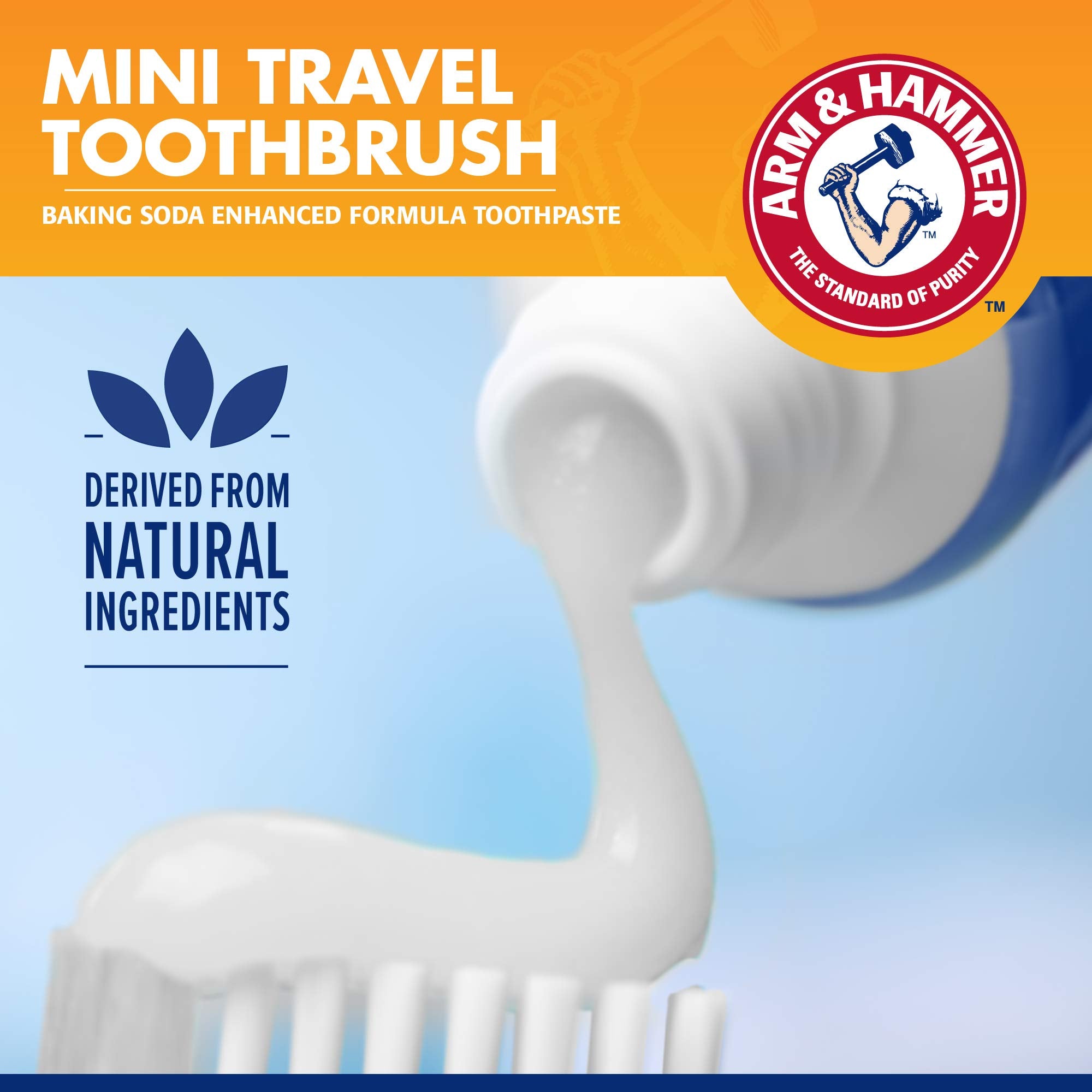 Arm & Hammer for Pets Clinical Care Travel Dental Kit for Dogs in Vanilla Ginger Flavor | Dog Toothbrush and Toothpaste Set Safe