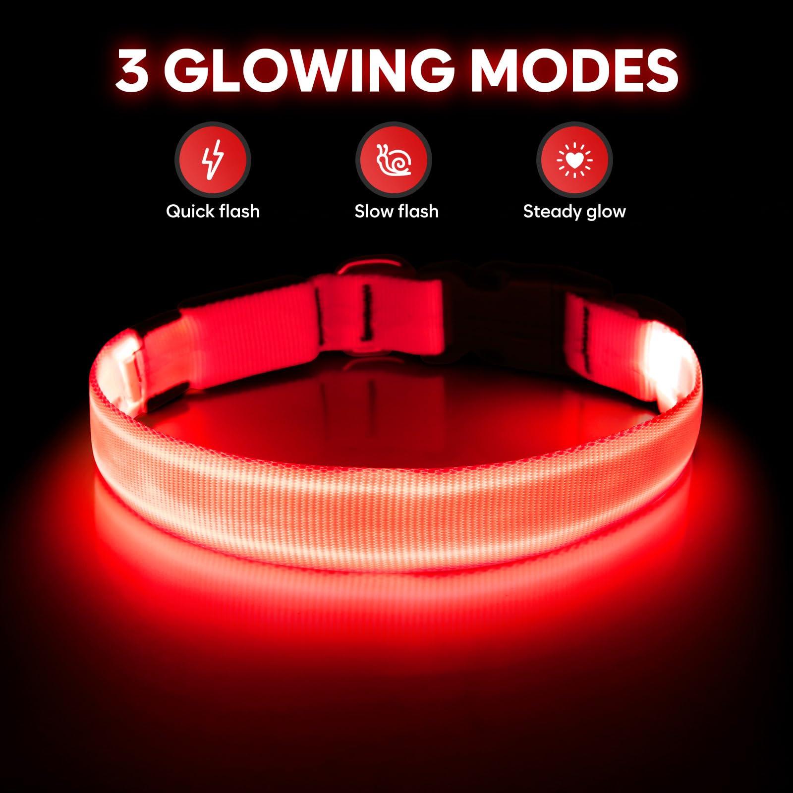 Illumifun Light Up Dog Collar - USB Rechargeable LED Dog Collar Glow in The Dark, Adjustable Pet Collar Light for Night Walking