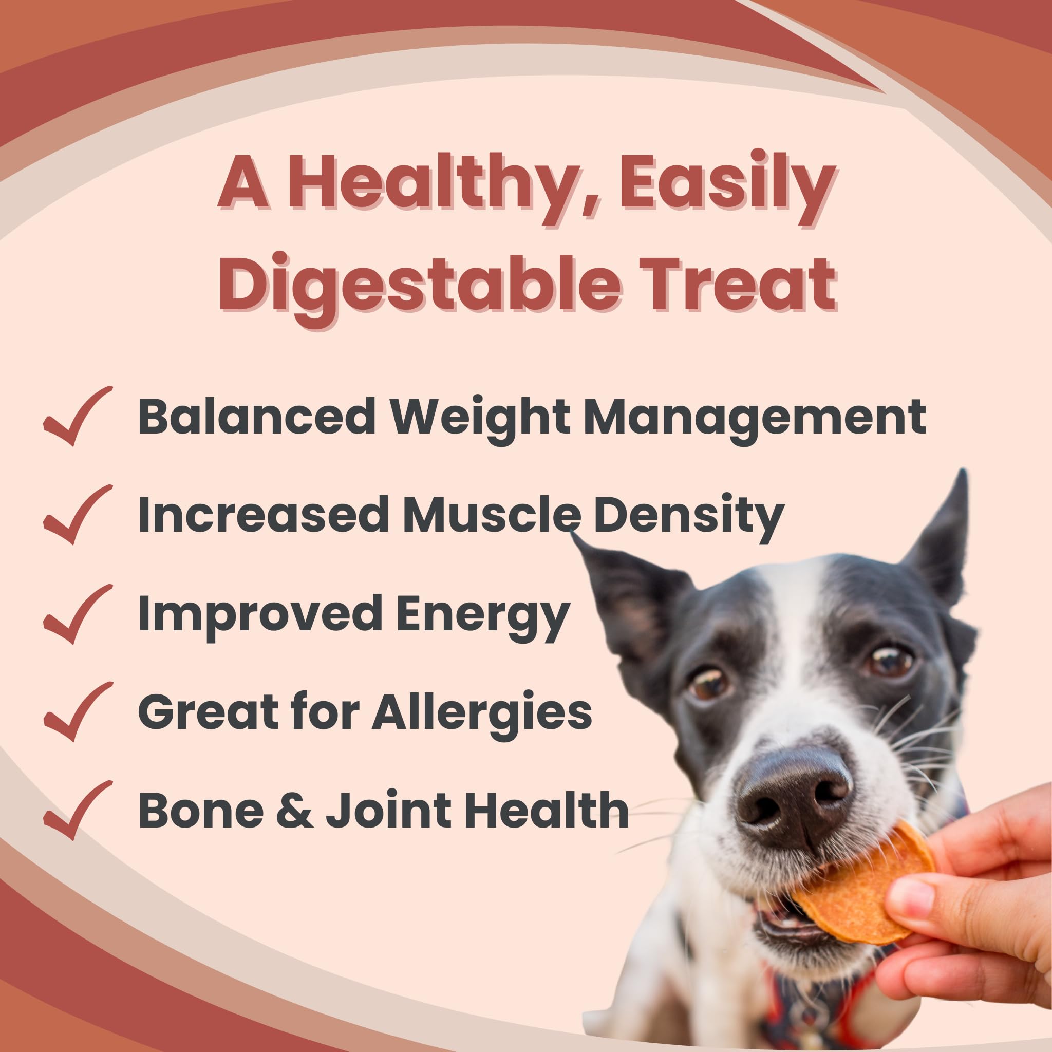 Farm To Pet Dog Training Treats, Healthy Turkey Dog Treats - 12 oz, Crunchy, Single Ingredient, All Natural Turkey Chips, Easy t