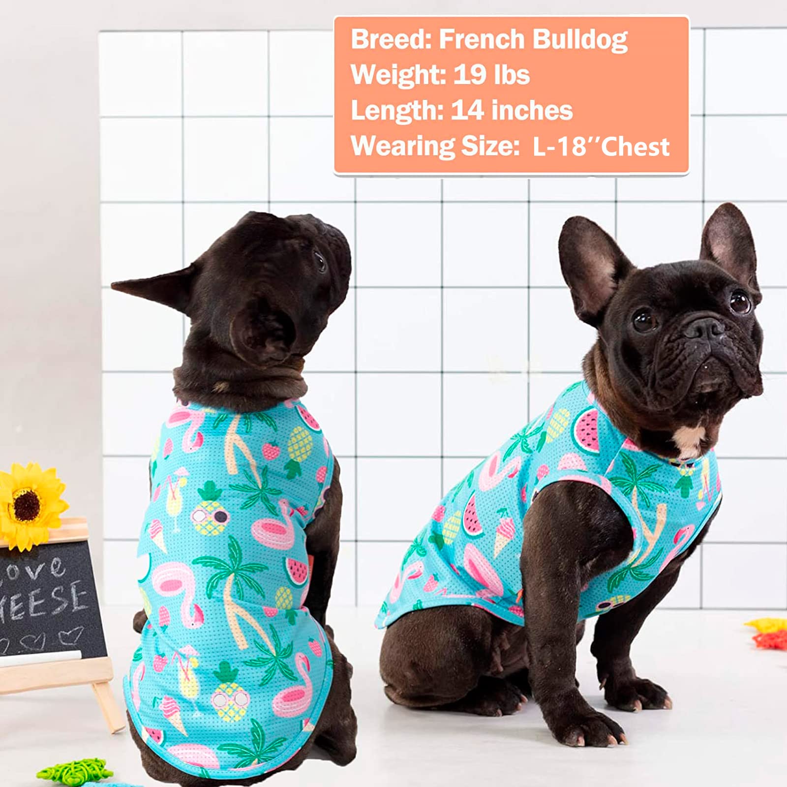 Kyeese 2 Pack Medium Dogs Shirts Hawaii Breathable Dog T-Shirts Soft Tank Top Sleeveless Vest Dog Tee Shirts Dog Apparel Great For Summer Flamingo Pattern