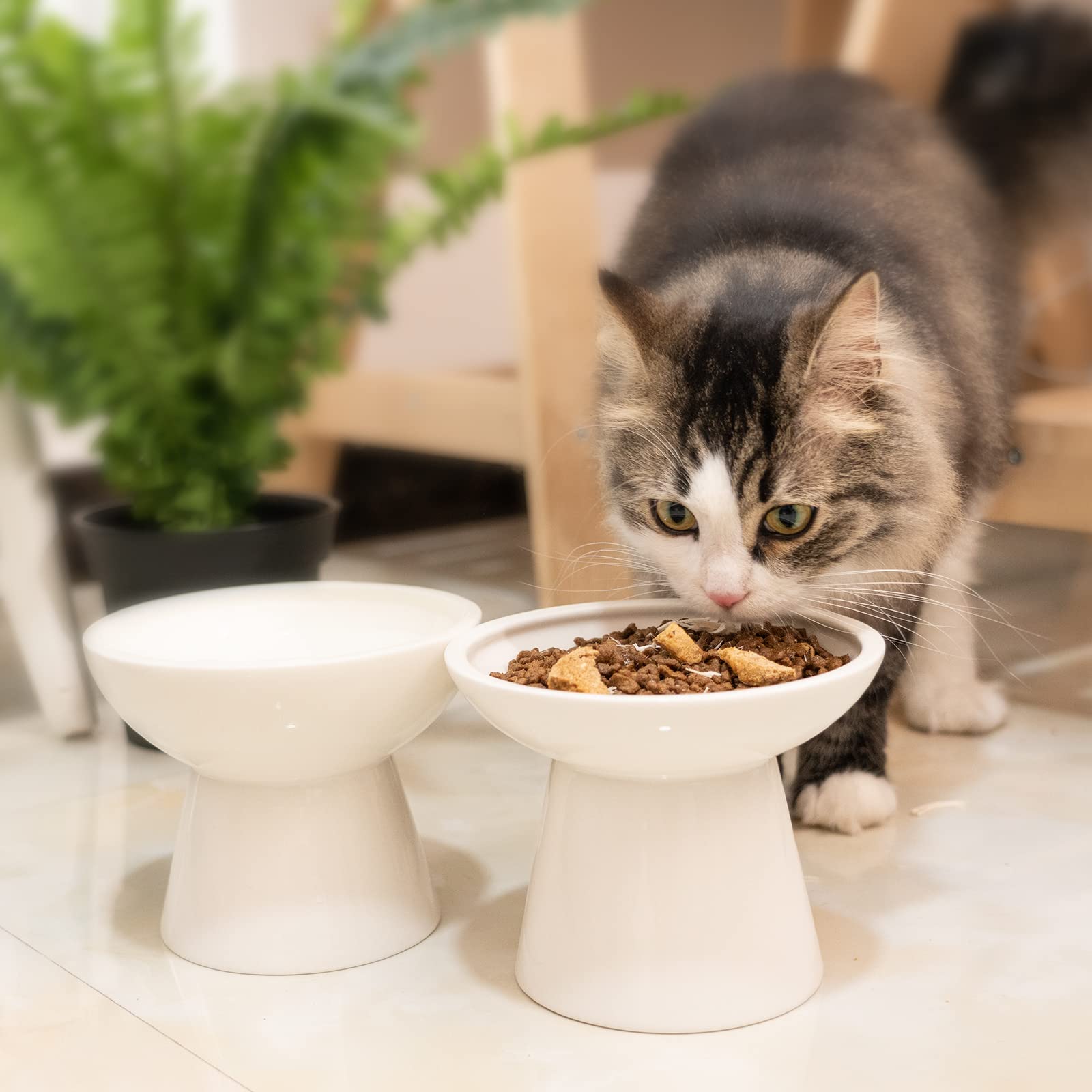 CEEFU Extra Wide Elevated Ceramic Cat Water Bowl - 6.2  Deeper Dish for Whisker Fatigue Relief, 5  Height for Easy Feeding, Lead