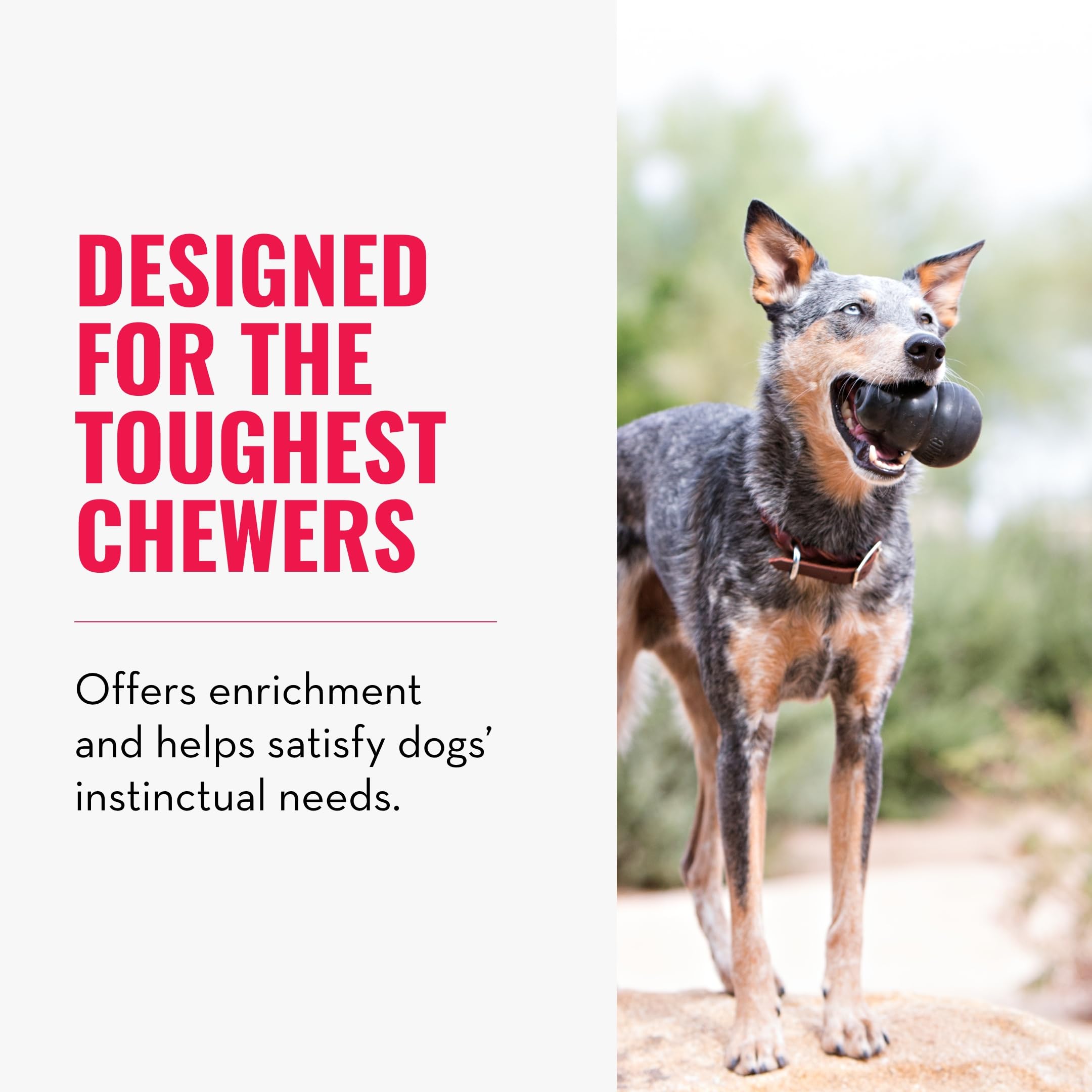 Kong Extreme Dog Toy - Fetch & Chew Toy - Treat-Filling Capabilities & Erratic Bounce For Extended Play Time Most Durable Natural Rubber Material - For Power Chewers - For Large Dogs