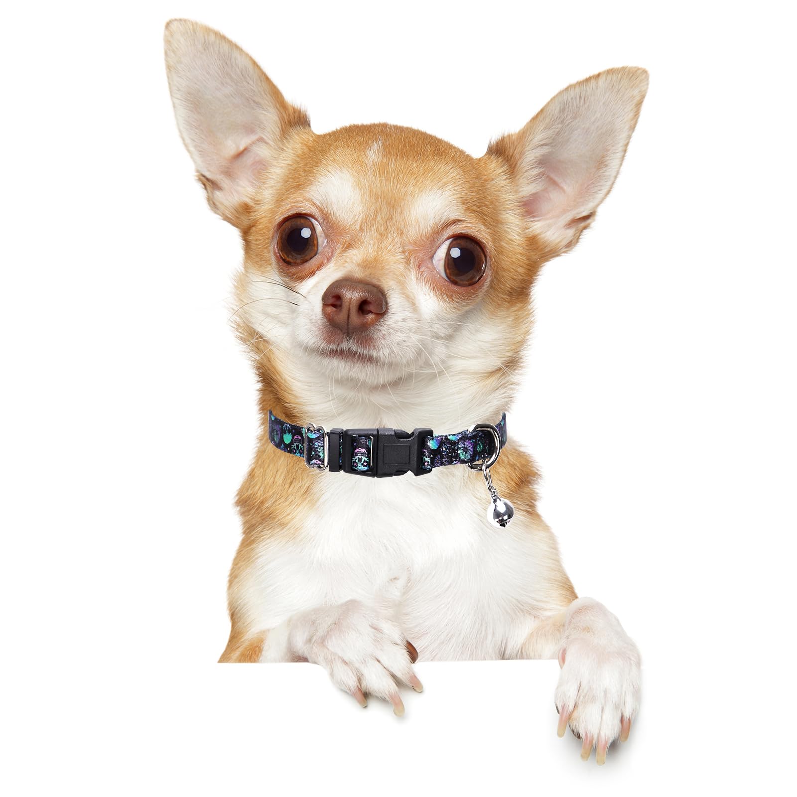 Small Dog Collar With Bell - Soft Adjustable Nylon Collar For Small Breeds, Skull Pattern Collar For Chihuahua Pomeranian Yorkie