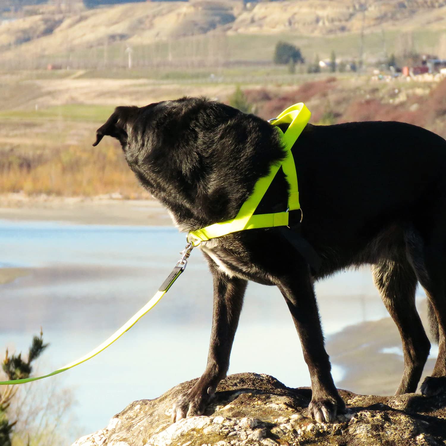 Ultrahund 'Freedom' No-Pull Harness, Medium, Red