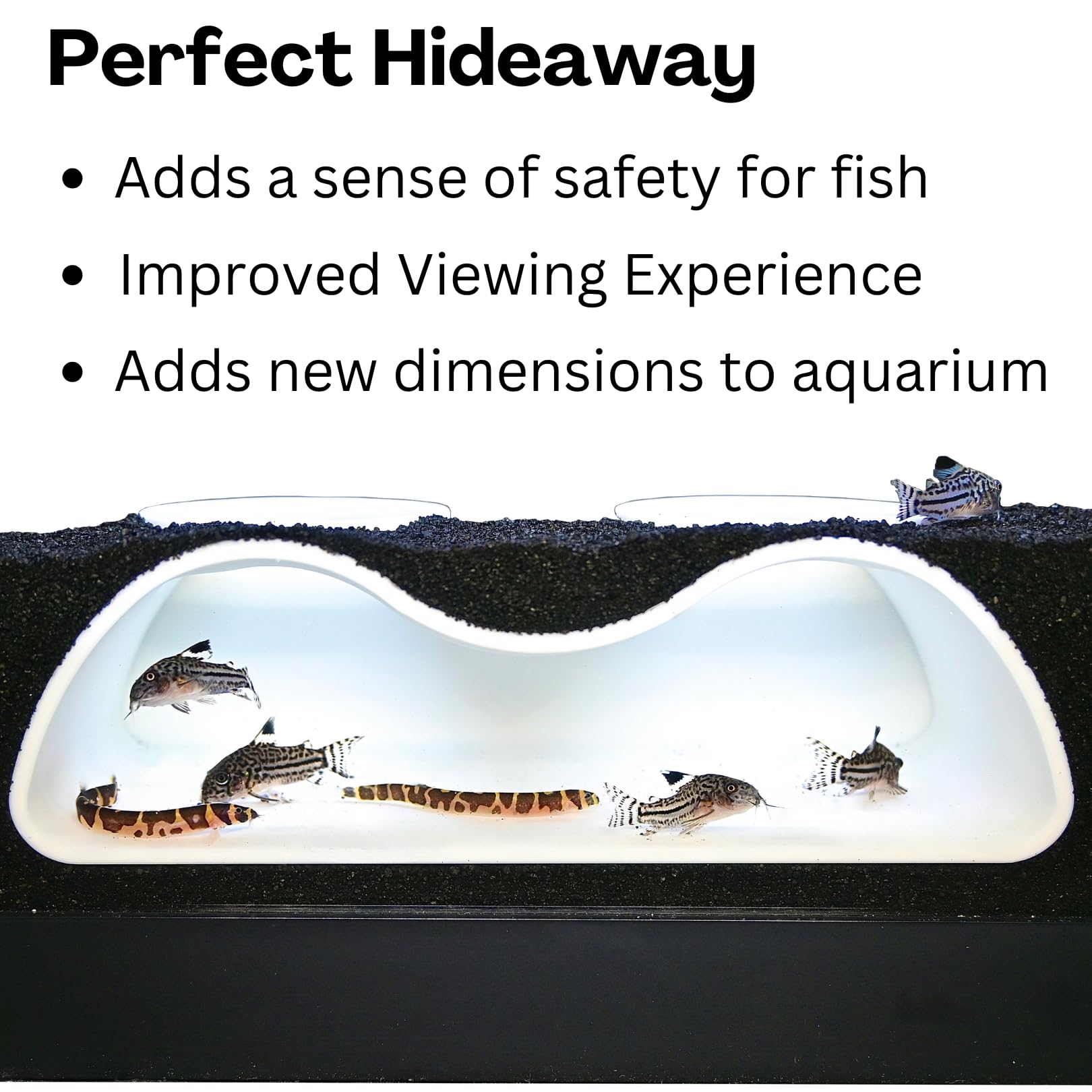 Aquarium Underground Tunnel Cave Natural Curve Two Hole | Viewing Fish & Shrimp Under Gravel Tunnel | Fish Tank Decor Decoration