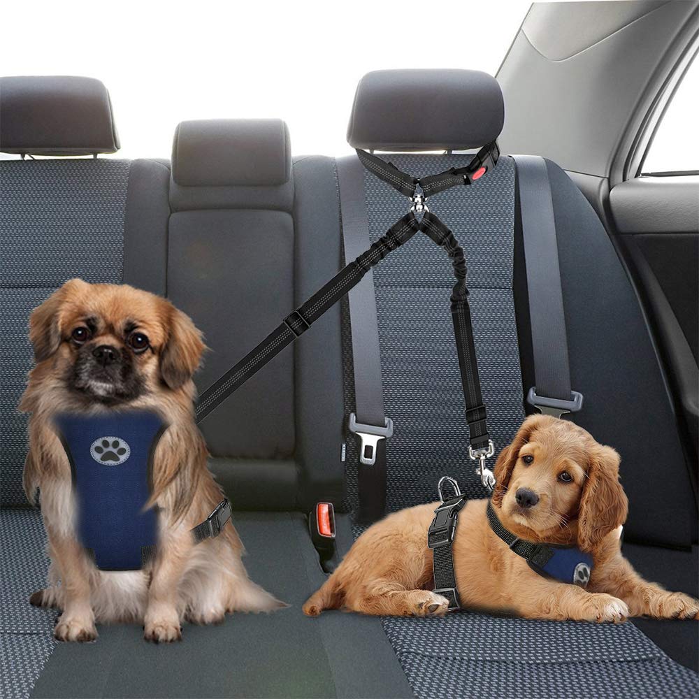 Autowt Double Dog Seat Belt, New Dual Pet Car Headrest Restraint Safety Seatbelt No Tangle Dog Leash Duty Adjust Elastic Bungee Puppy Lead Splitter Connect Harness In Vehicle Travel For 2 Dogs