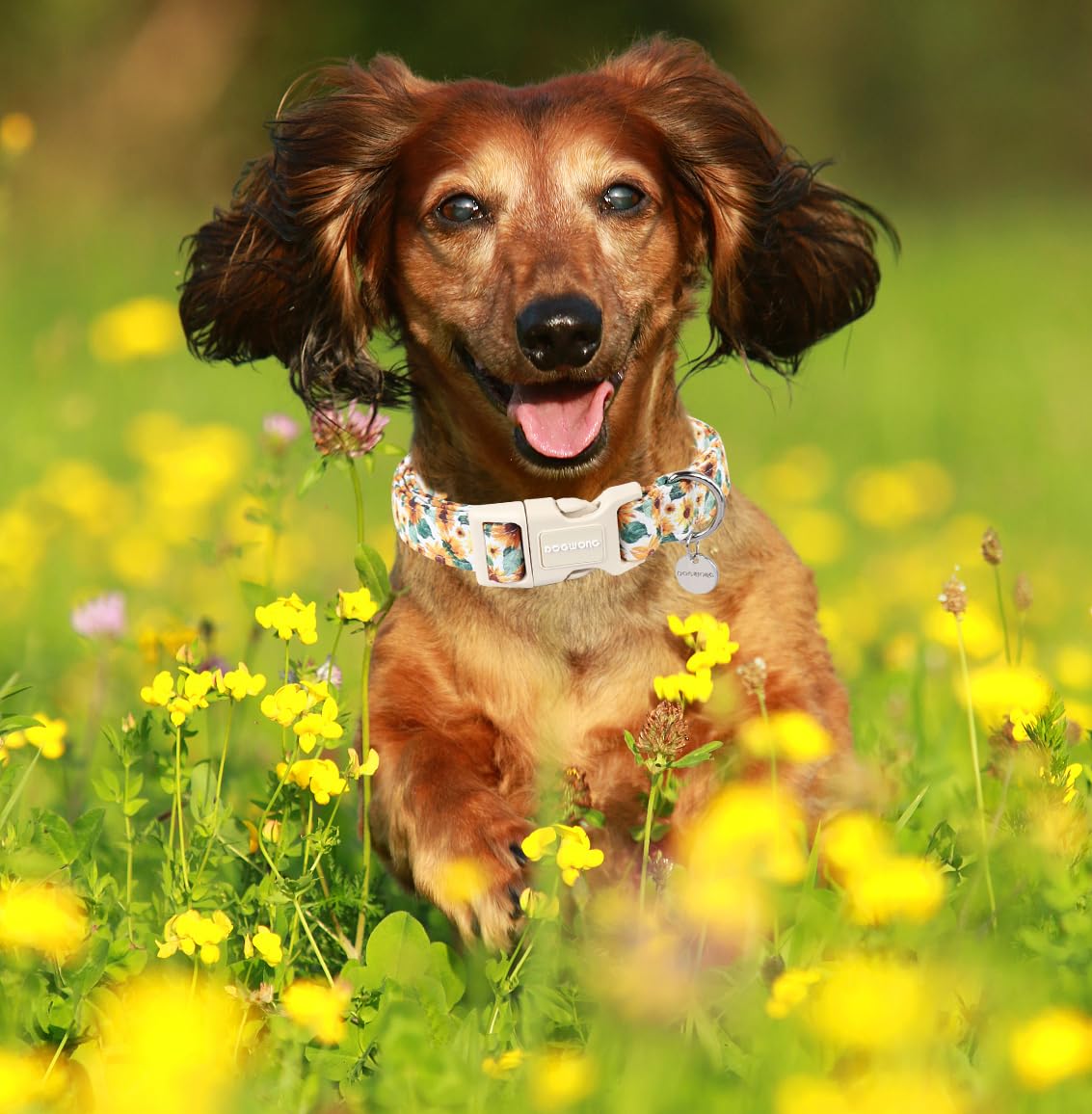 Dogwong Female Cotton Sunflower Dog Collar - Durable Soft Natural Fabric Spring Pet Collar For Small Medium Large Dogs