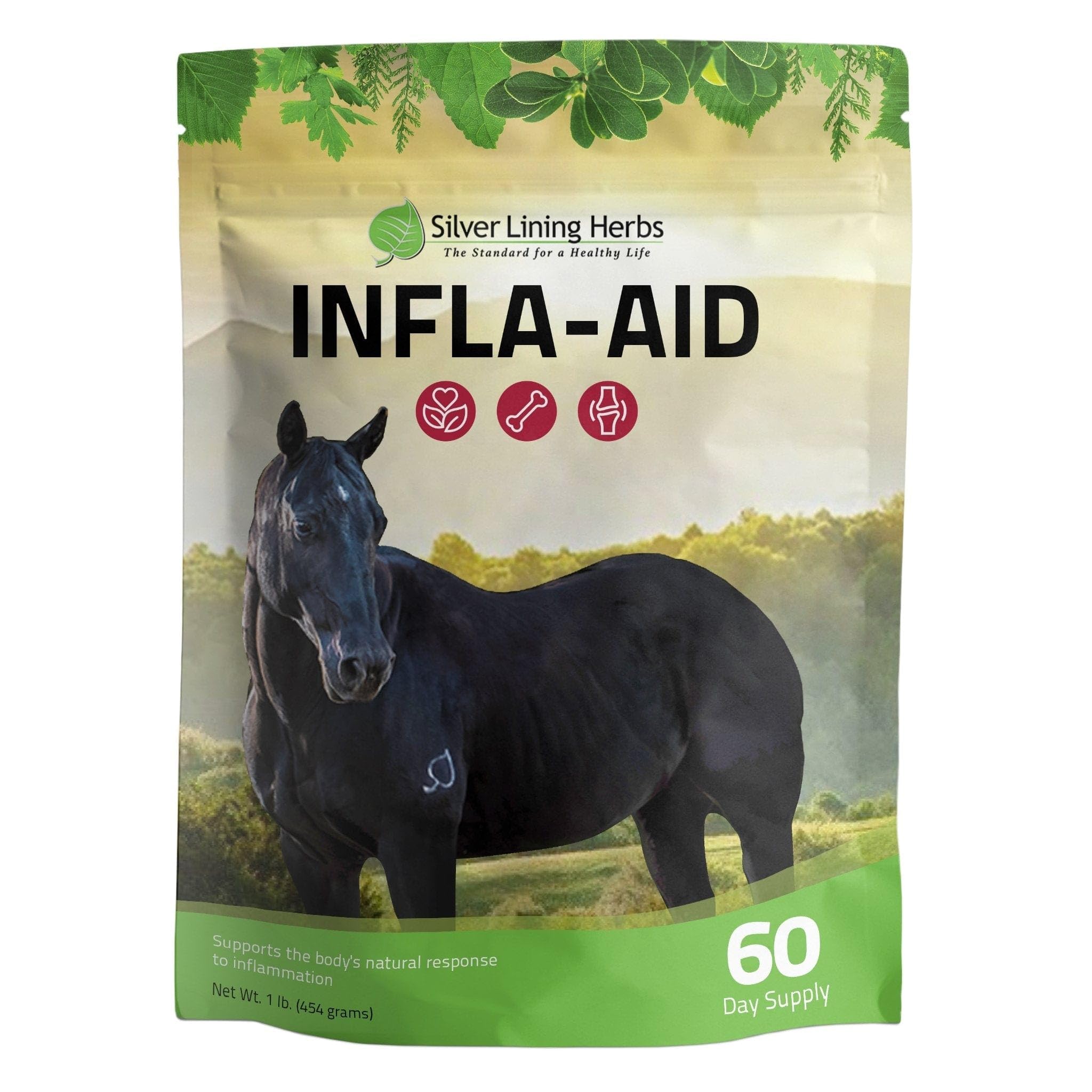#9 Inflammaid