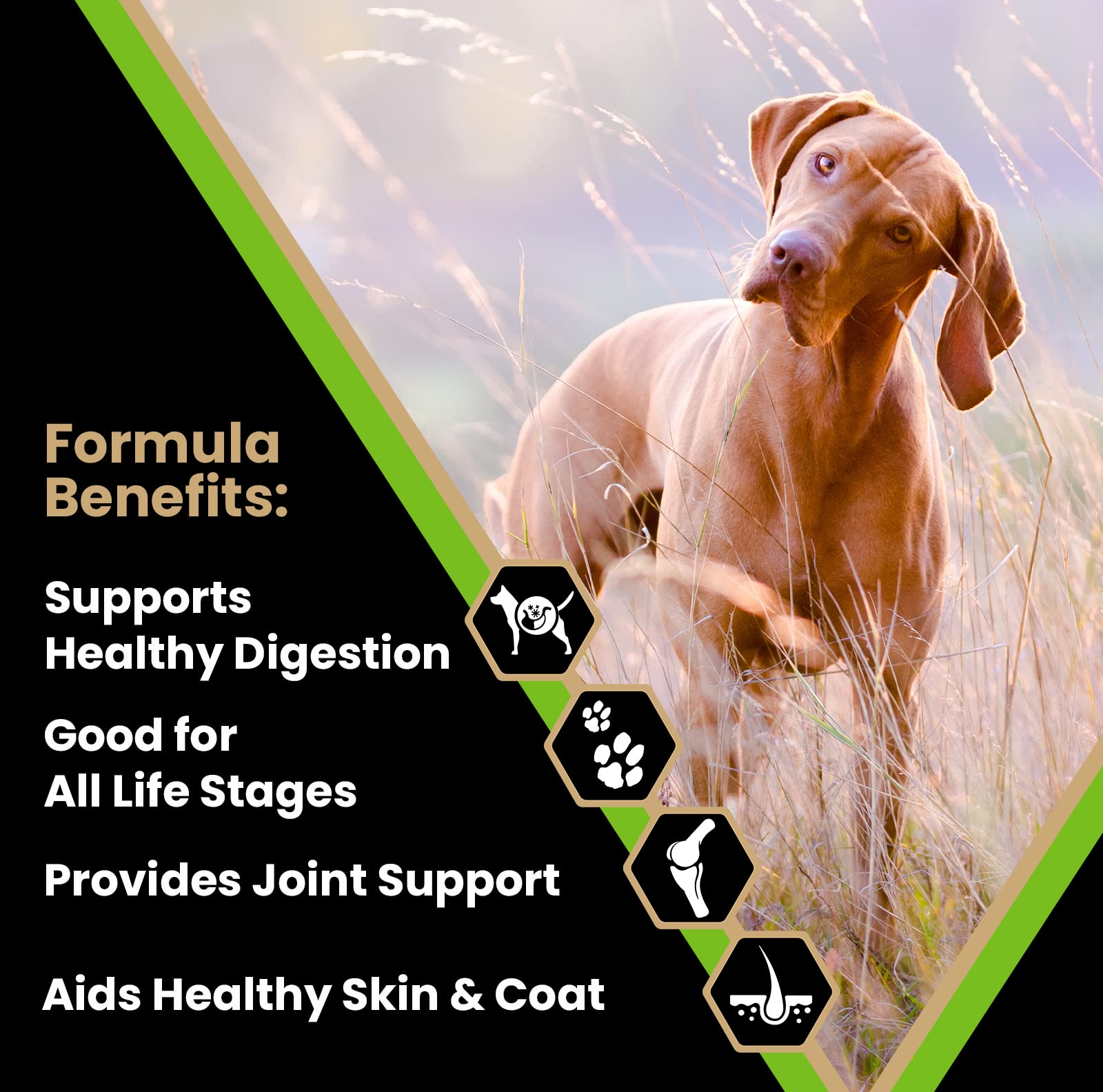 VICTOR Super Premium Dog Food - Elite Canine Dry Dog Food with Chicken & Fish Meal - 25% Protein, 14% Fat, Gluten Free - for Lar