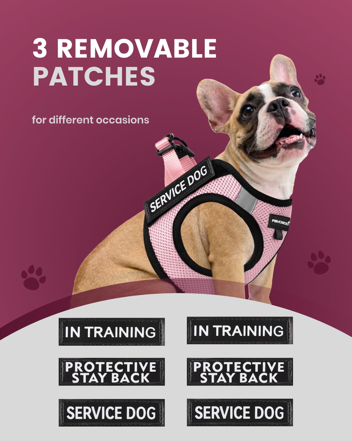 FAYOGOO Service Dog Vest for Small Breed - Lightweight Dog Harness with 6PCS Removable Patches - Puppy Harness and Leash Set for