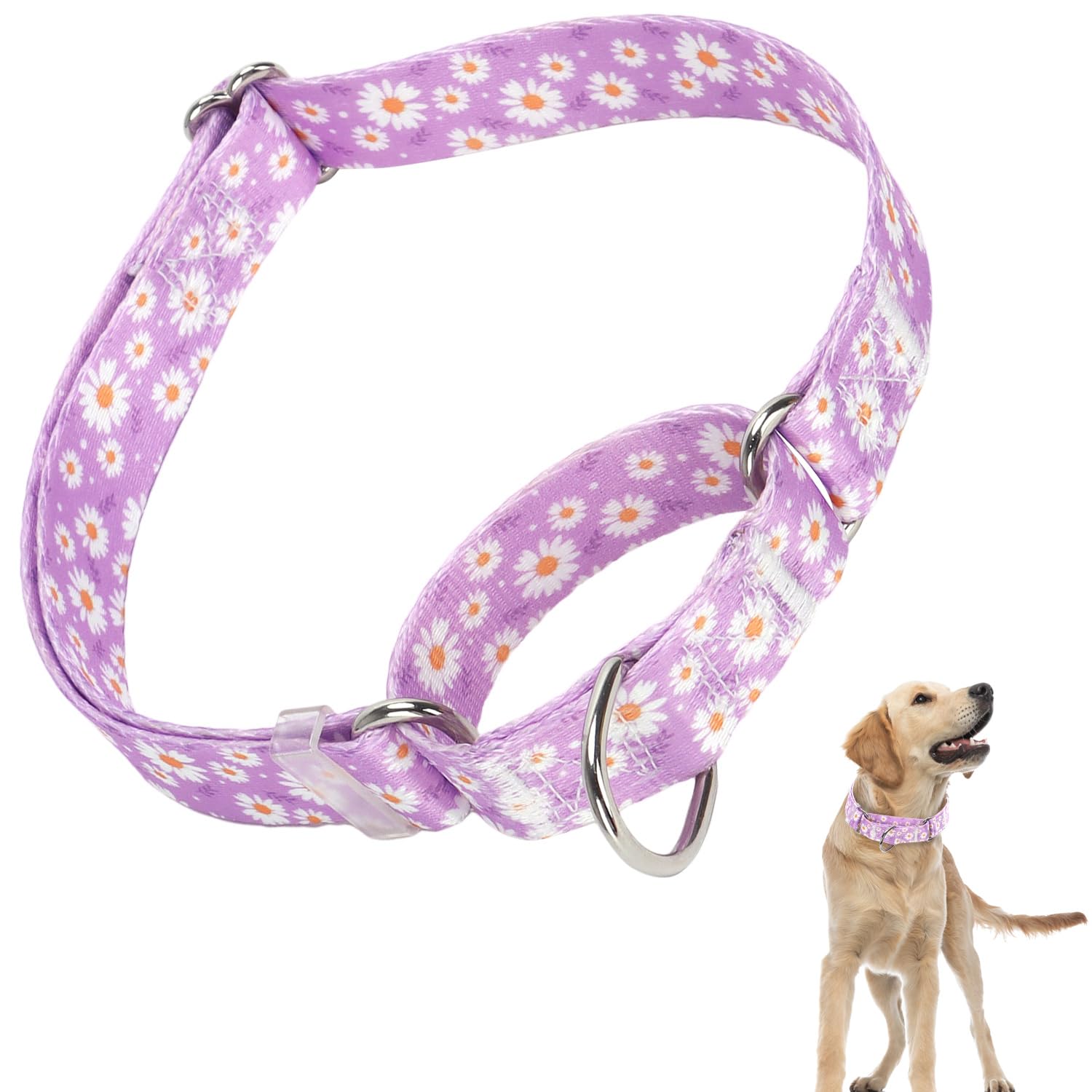 Martingale Collar For Dogs, Girl Dog Collar With Purple Floral Patterns, Heavy Duty Nylon Dog Collar Durable And Comfortable, Pe