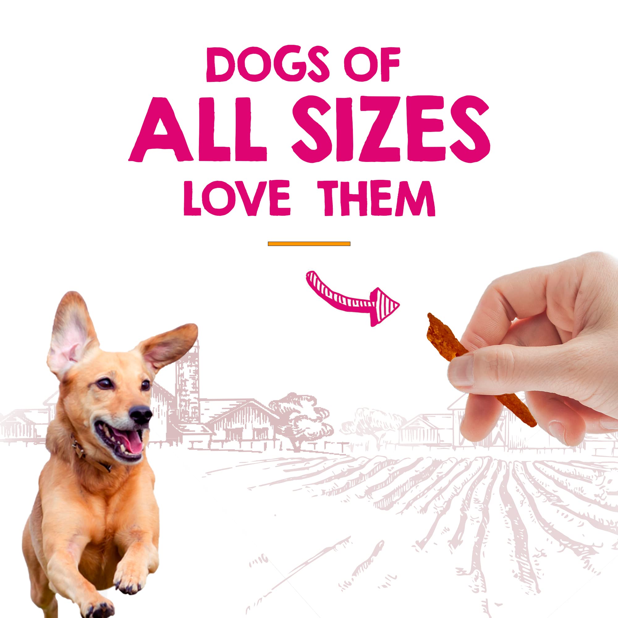 Rileys Slims Dried Sweet Potato Dog Treats - Dehydrated Chews with Turmeric - Limited Ingredient USA Sourced Sweet Potato - Mad