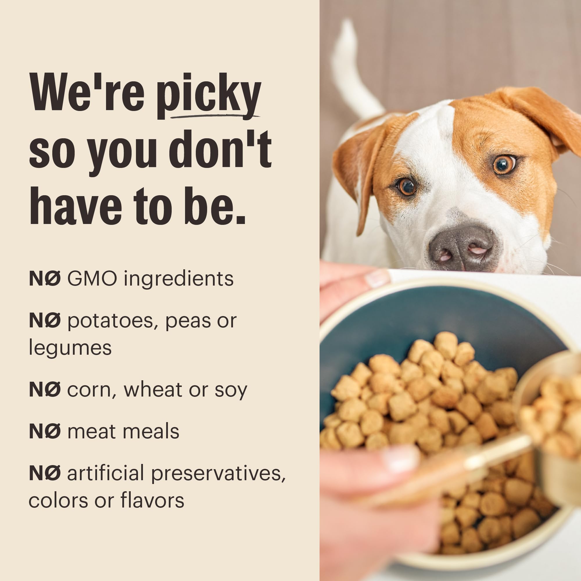 The Honest Kitchen Whole Food Clusters Small Breed Whole Grain Chicken Dry Dog Food, 10 lb Bag