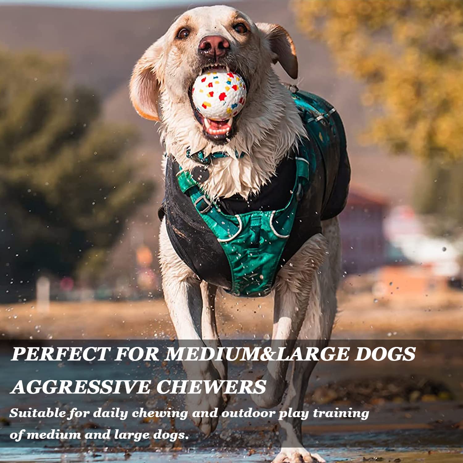 Dlder Dog Balls Toys For Aggressive Chewers,Indestructible Floating Bouncy Balls For Dogs,Lightweight Dog Chew Balls,Fetch Balls For Large&Medium Dogs