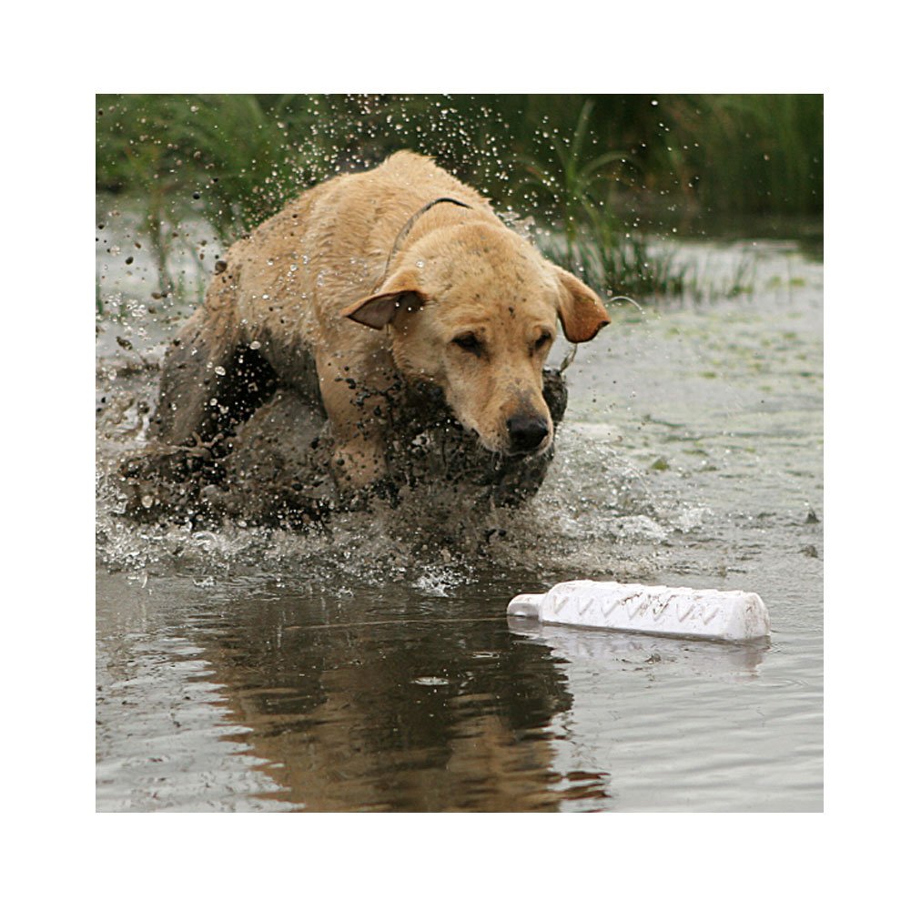 Avery ASD HexaBumper - Sporting Dog Floating Training Dummy with Hex Design & Throw Rope (White, 2'' Diameter Single Pack)
