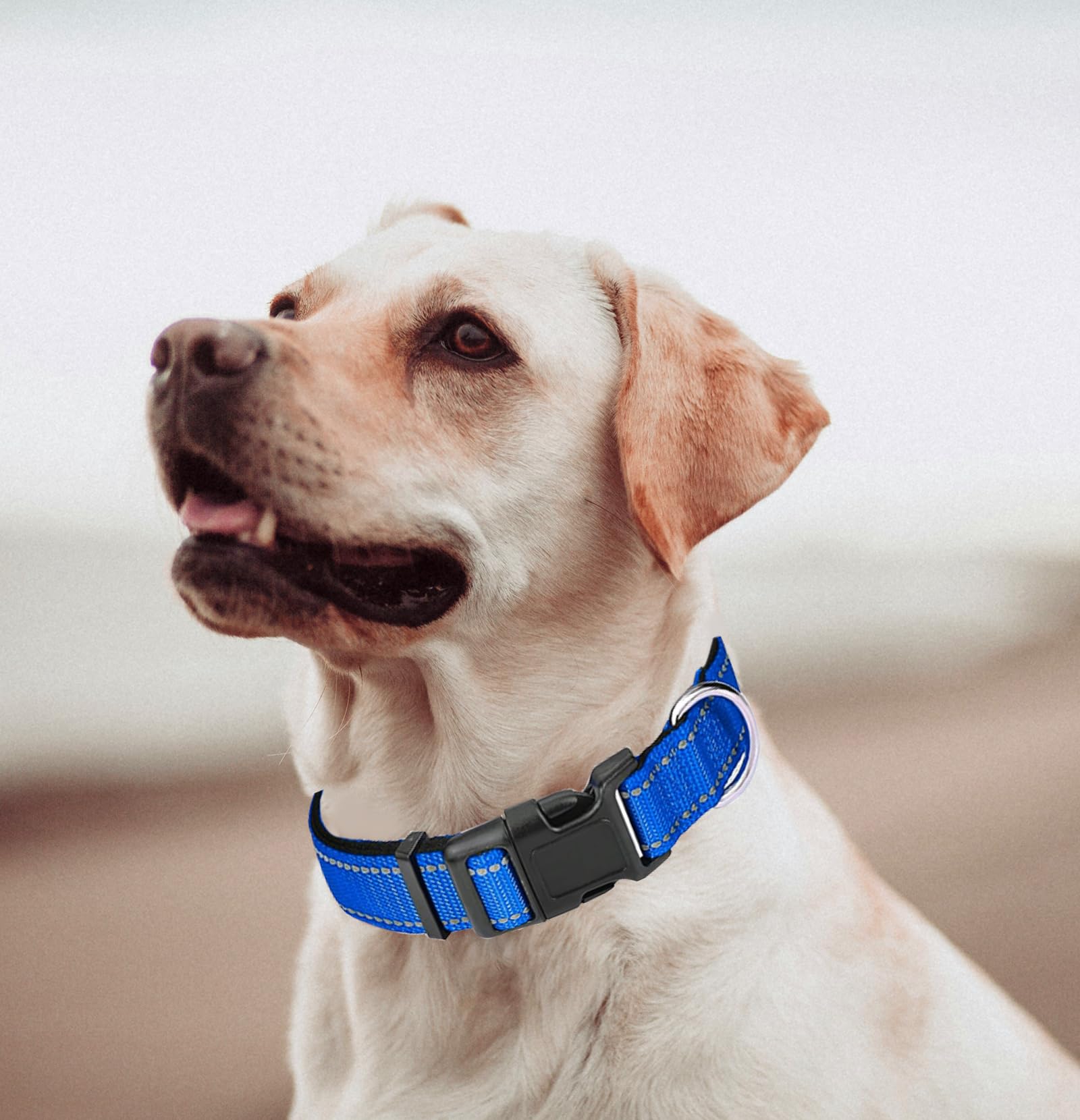 Small Dog Collar, Reflective Pet Collar With Buckle Adjustable Safety Nylon Collars For Small Medium Large Dogs, Blue