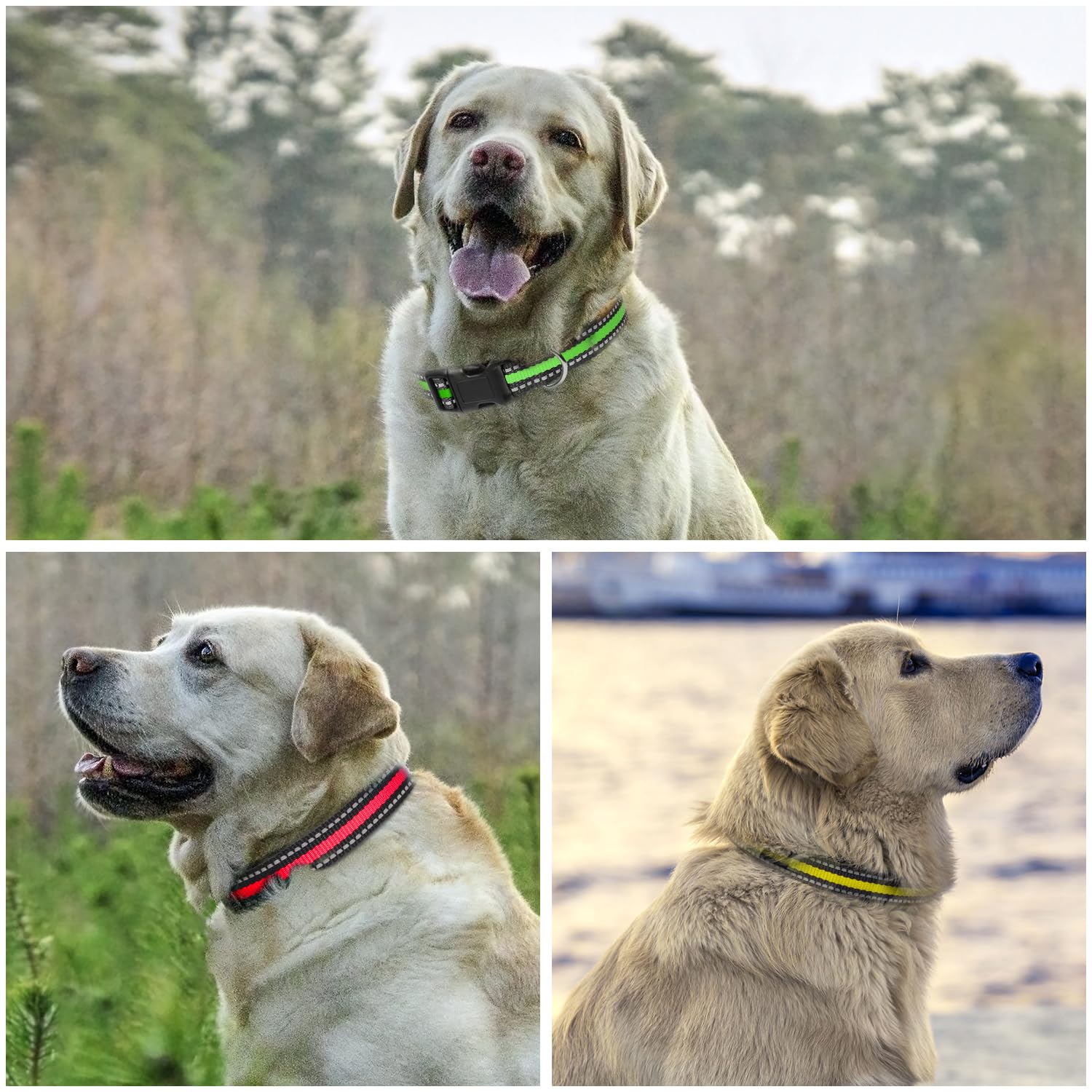 Petjoy 3-Pack Dog Collar - Quick-Release Buckle & D-Rings - Reflective Multi-Color (R/Y/G) - Adjustable 8-27'' For Most E-Collar