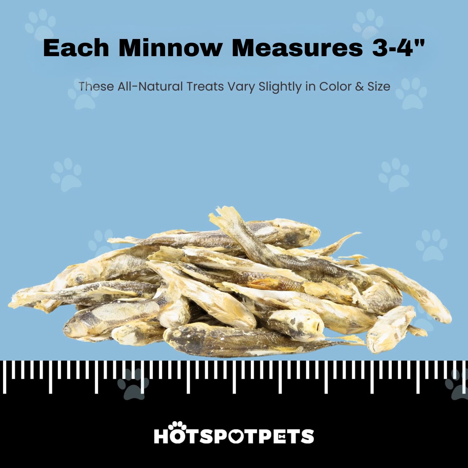 hotspot pets Freeze Dried Minnows - Healthy Treats for Cats & Dogs -1 Pound Big Bag (Made in USA) All Natural, High Protein, Ric