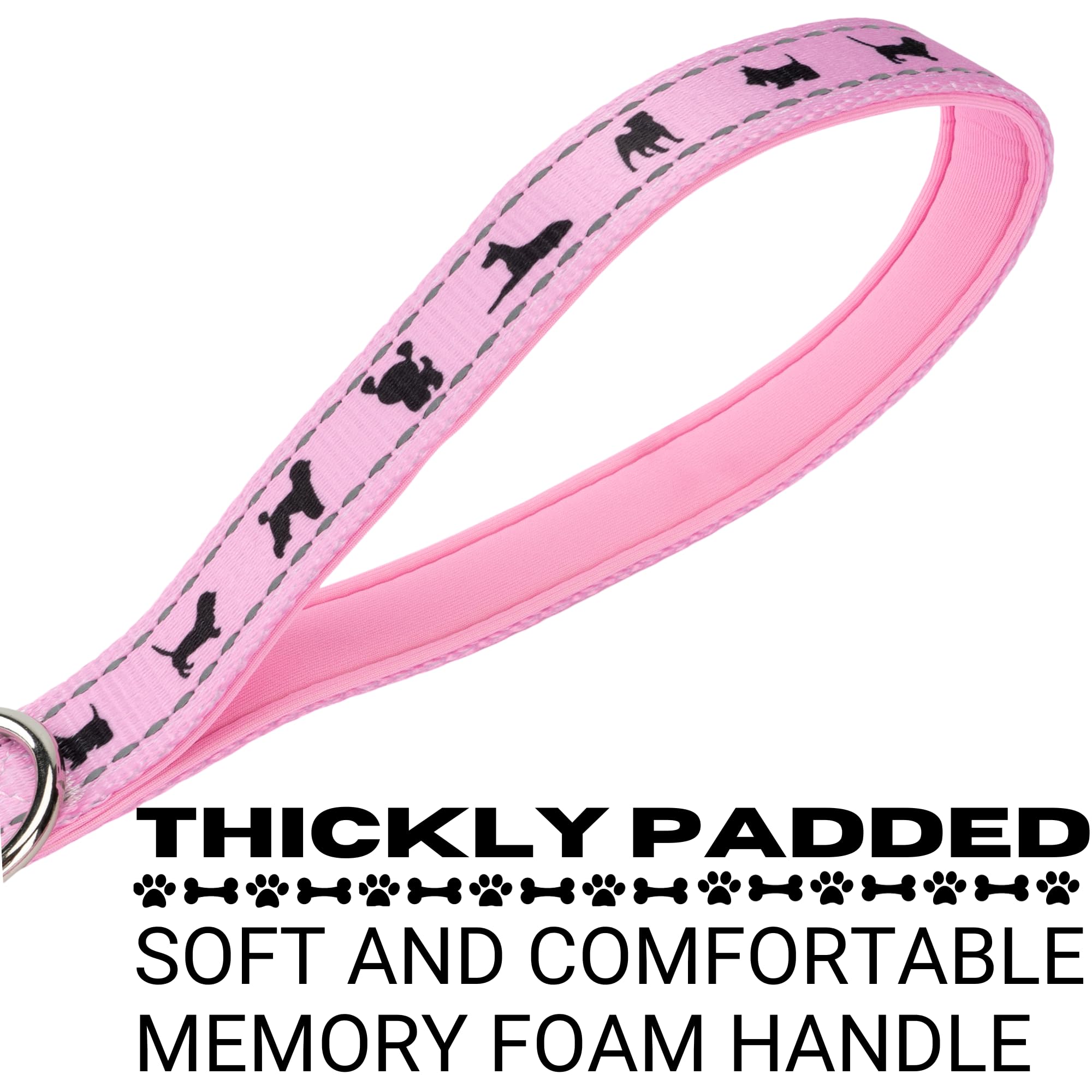 Ecobark Dog Leash - 4 Ft / 5 Ft / 6 Ft Reflective Dog Leash- Eco-Bright Dog Leashes With Padded Handle - Strong Heavy Duty Dog L