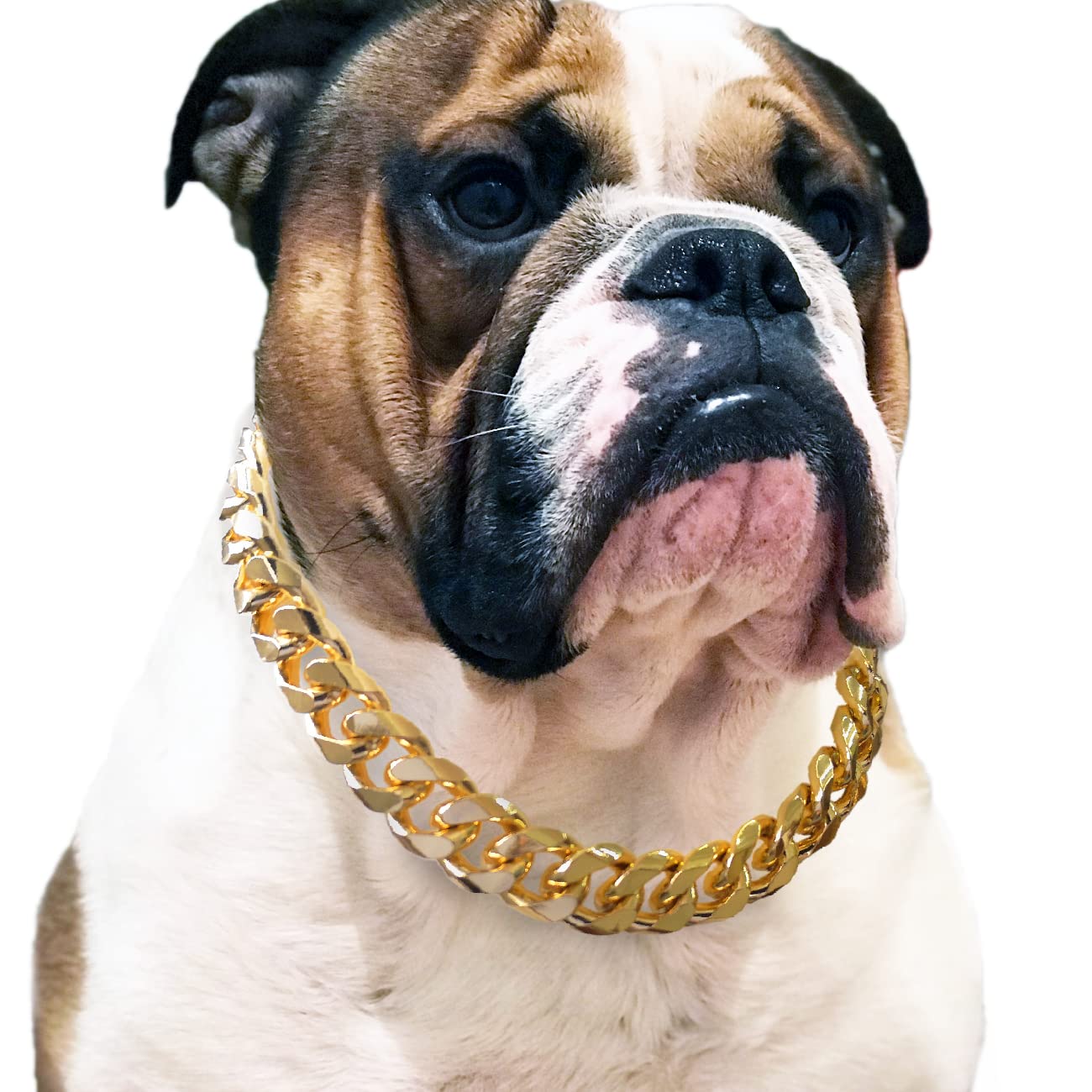 Cuban Link Dog Collar - 3/4 inch Wide Light Metal Gold Chain Dog Necklace, Cute Fashion Jewelry Accessories for Puppy, Trends Cu