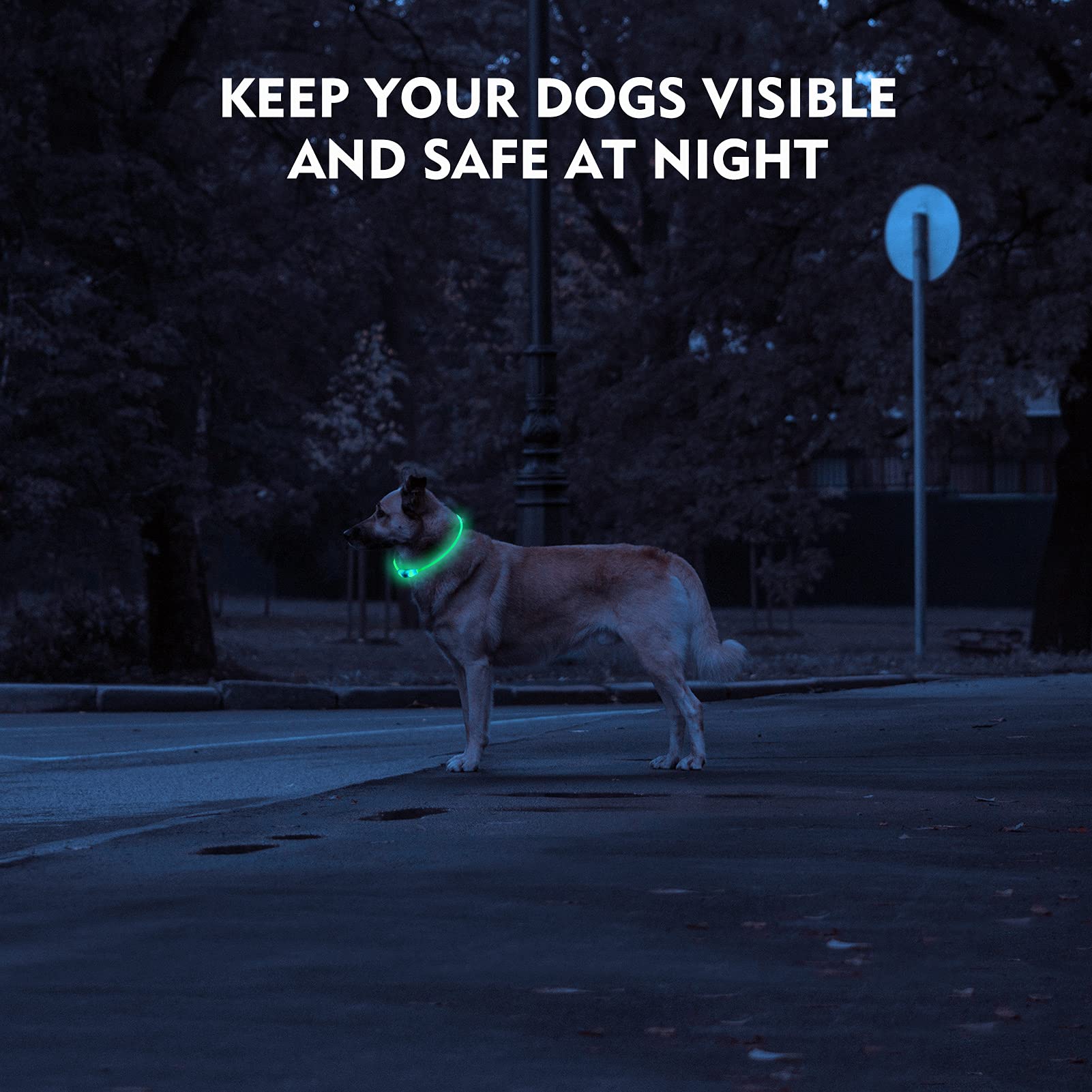NOVKIN LED Dog Collar, Rechargeable Light Up Dog Collars,IP67 Waterproof Dog Lights for Night Walking,Adjustable, Reusable Safet