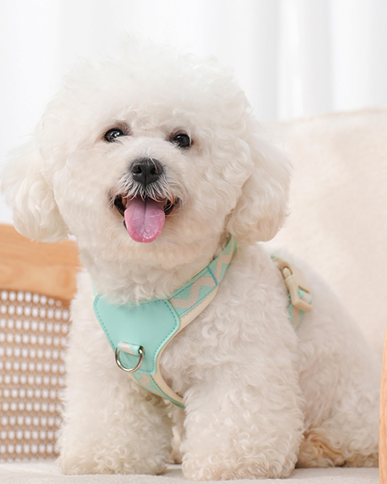 Petank Blue Xs Dog Harness For Small Dogs, No Pull Dog Harness With 2 Leash Clips, Easy Walk Dog Harness Small Sized Dog, Puppy