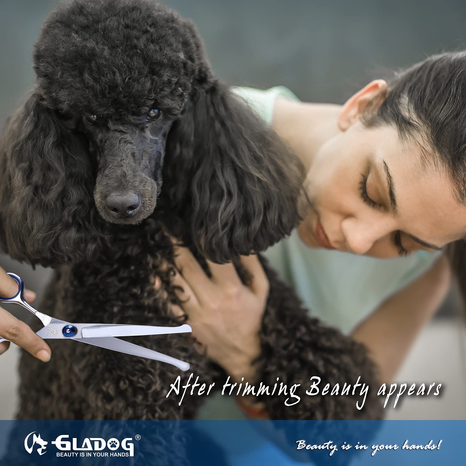 Dog Grooming Scissors Kit With Safety Round Tips, Gladog Professional 6 In 1 Grooming Scissors For Dogs, Sharp And Durable Dog Grooming Shears For Dogs Cats Pets