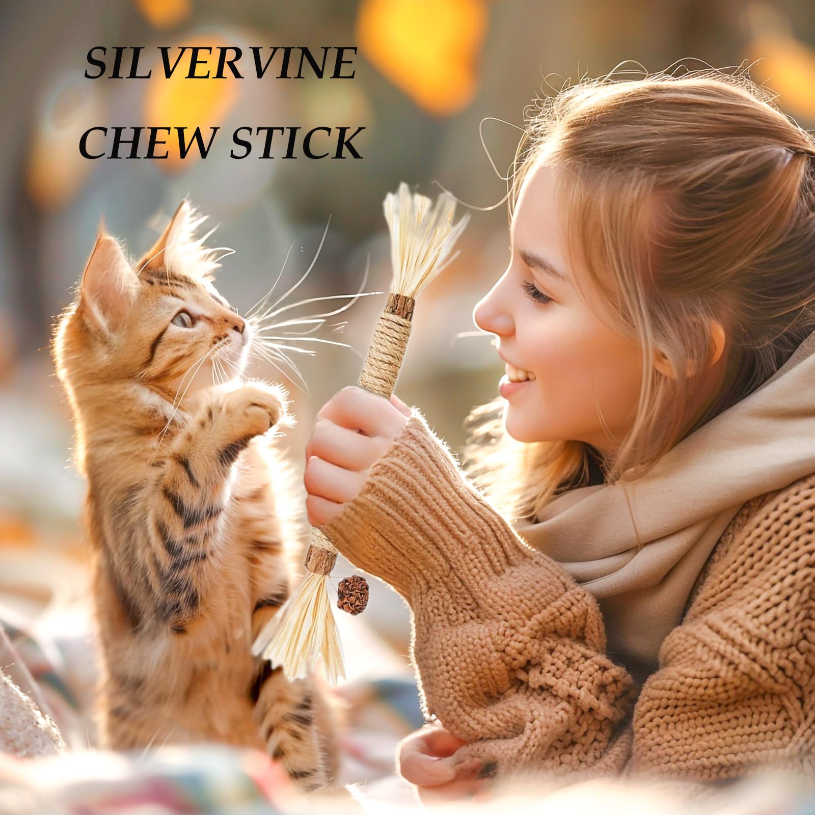 GREMBEB Cat Toys,6PCS Kitten Toys for Indoor Cats Catnip Toy for Chewing Silvervine Stick for Cleaning Teeth Kitty Dental Treat