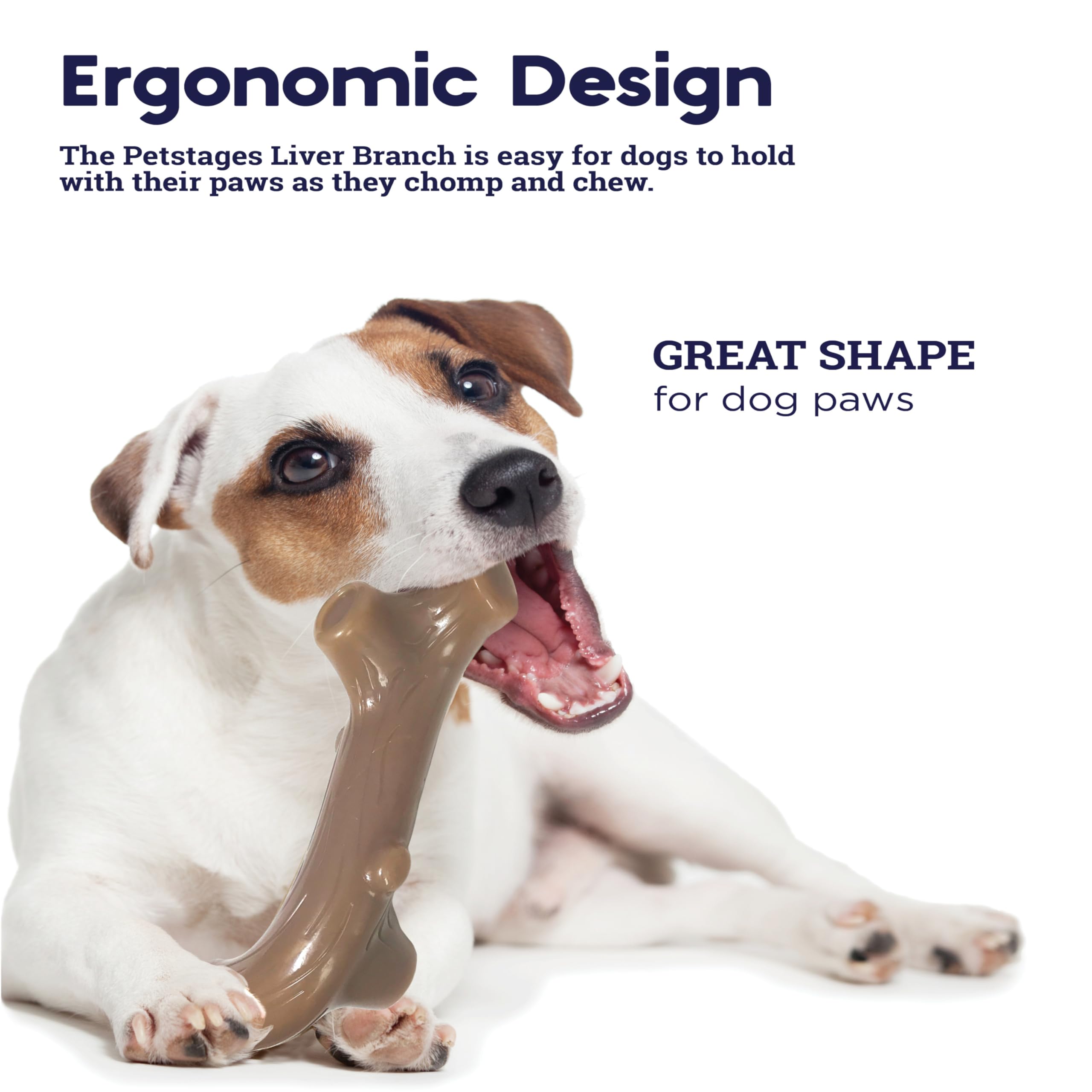 Petstages Dog Chew Toys - Safe And Long Lasting Chewable Sticks - Tough Alternative Chewing Sticks For Dogs