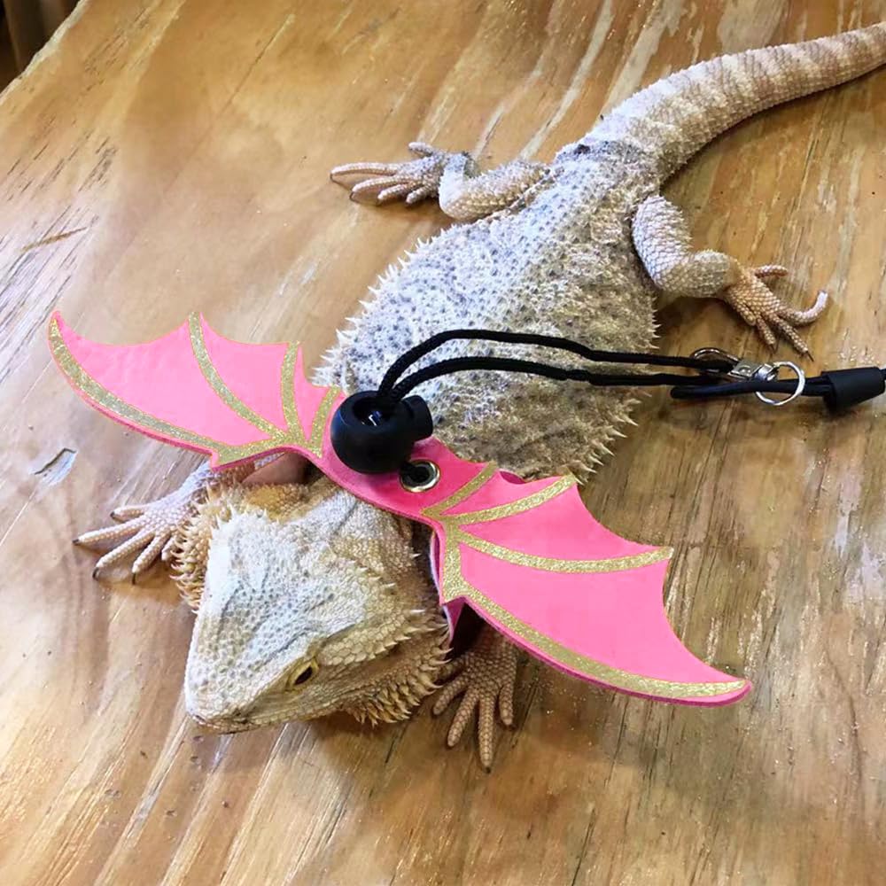 Coguzed Bearded Dragon Leash And Harness Set, Adjustable Lizard Harness With Wings, Cool Leather Reptile Leash For Bearded Drago