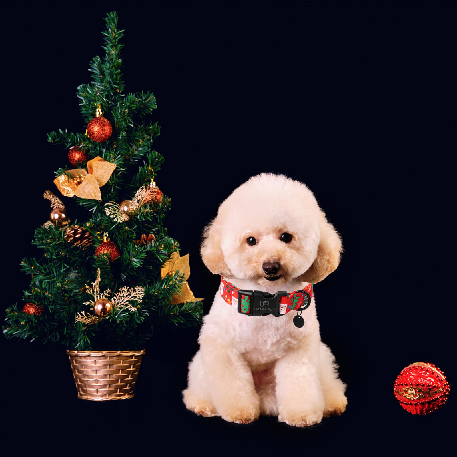 Up Urara Pup Christmas Santa Claus Dog Collar, Cute Santa Claus Christmas Collar For Puppy Girl Boy Dog, Adjustable Red Dog Coll