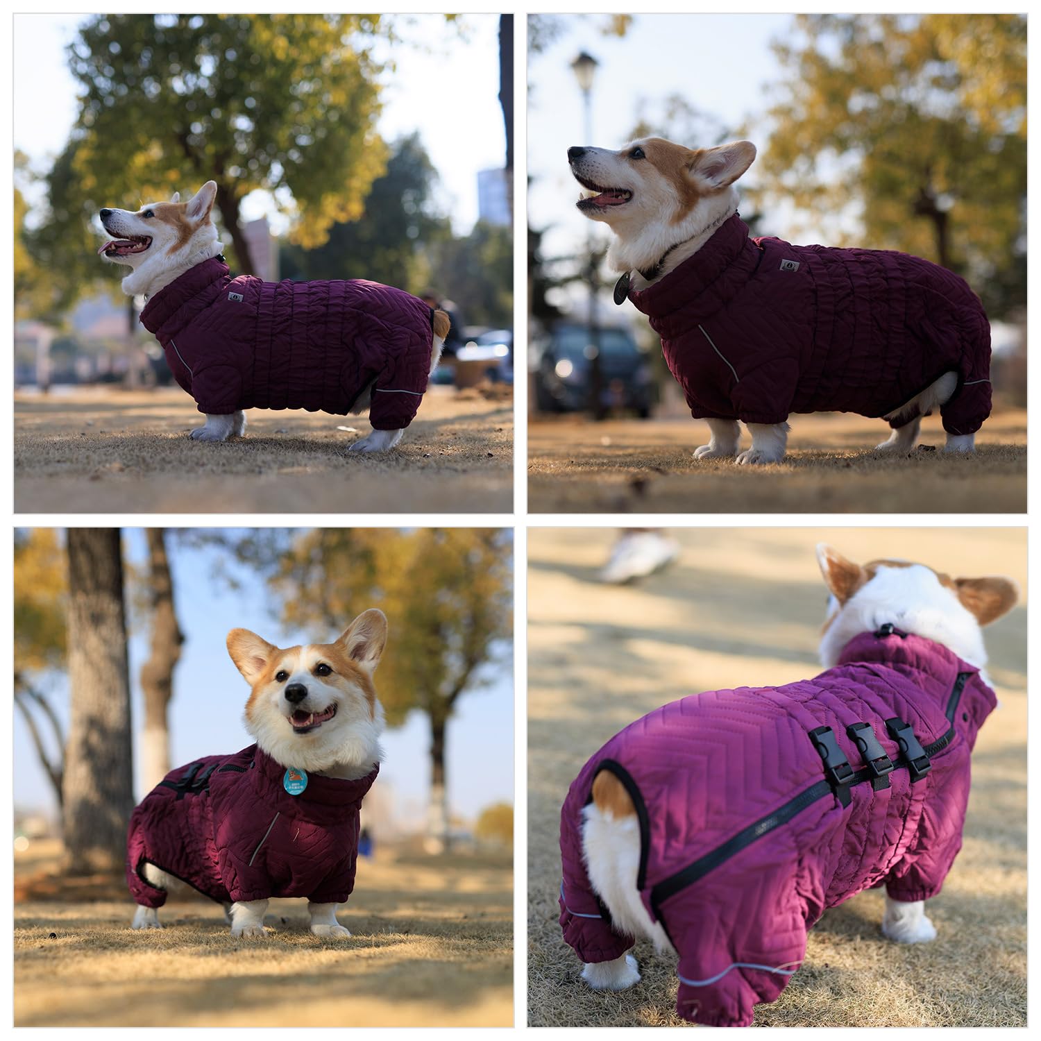 Lovelonglong Dog Coat - Warm Double Layered Vest, Windproof & Waterproof, Size D-S, Purple for Corgis & Dachshunds