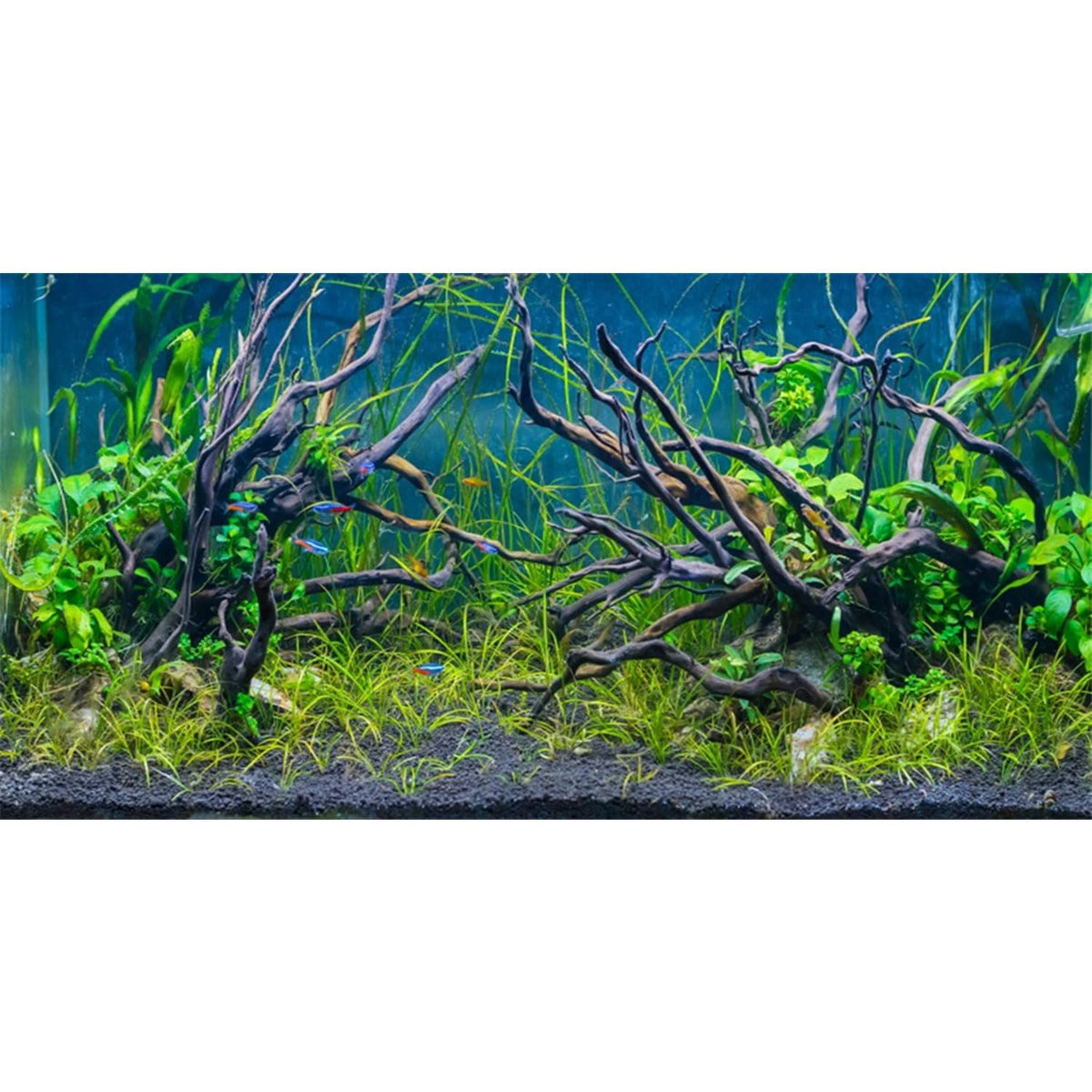 Awert 48X18 Inches Tropical Fish Tank Background River Bed & Lake Aquatic Plant Undersea Tree Branch Aquarium Background Vinyl